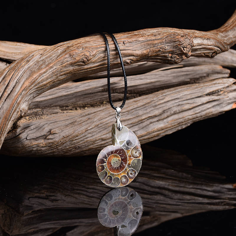 10Pcs Natural Quartz Conch Fossil Shell Crystal Pendant Unisex Necklace Decor