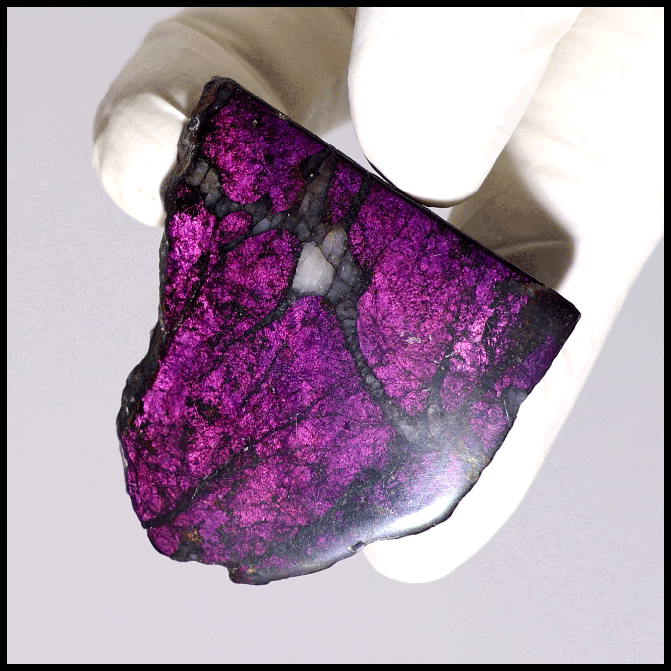 Peaks Of Transformation~ 2 PC Natural Purpurite Violet Flash Crystal Palm Slabs