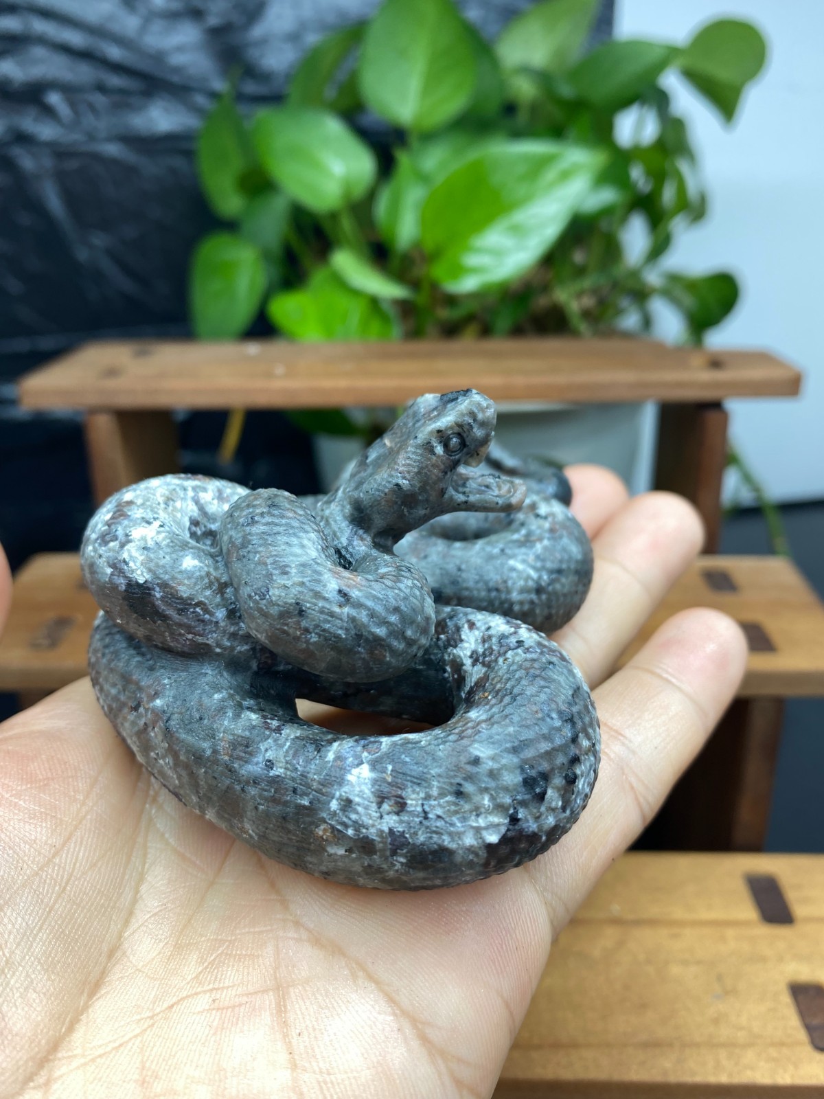 3.7” Natural Yooperlite Quartz Crystal Carved Snake skull reiki healin gift 1pc