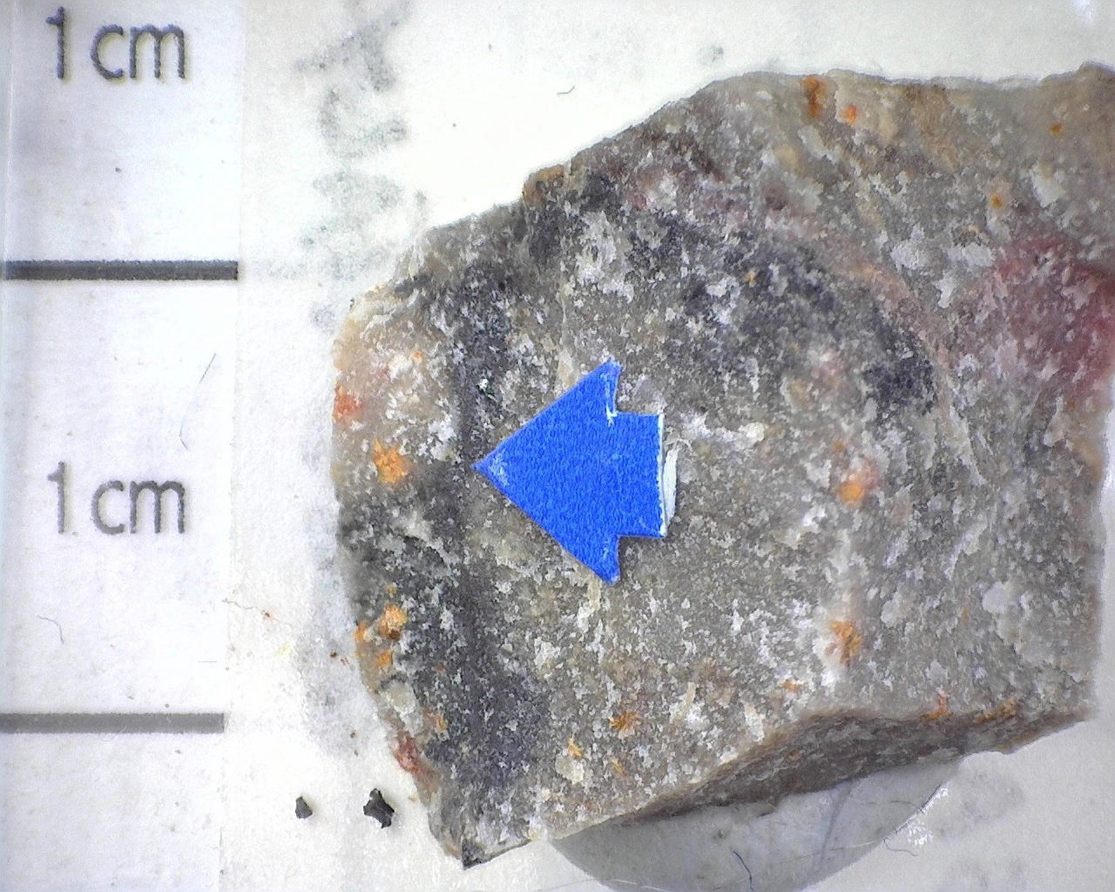11767 MM Scheuchzerite Gambatesa Mine Reppia Ne Genoa Liguria Italy 7020