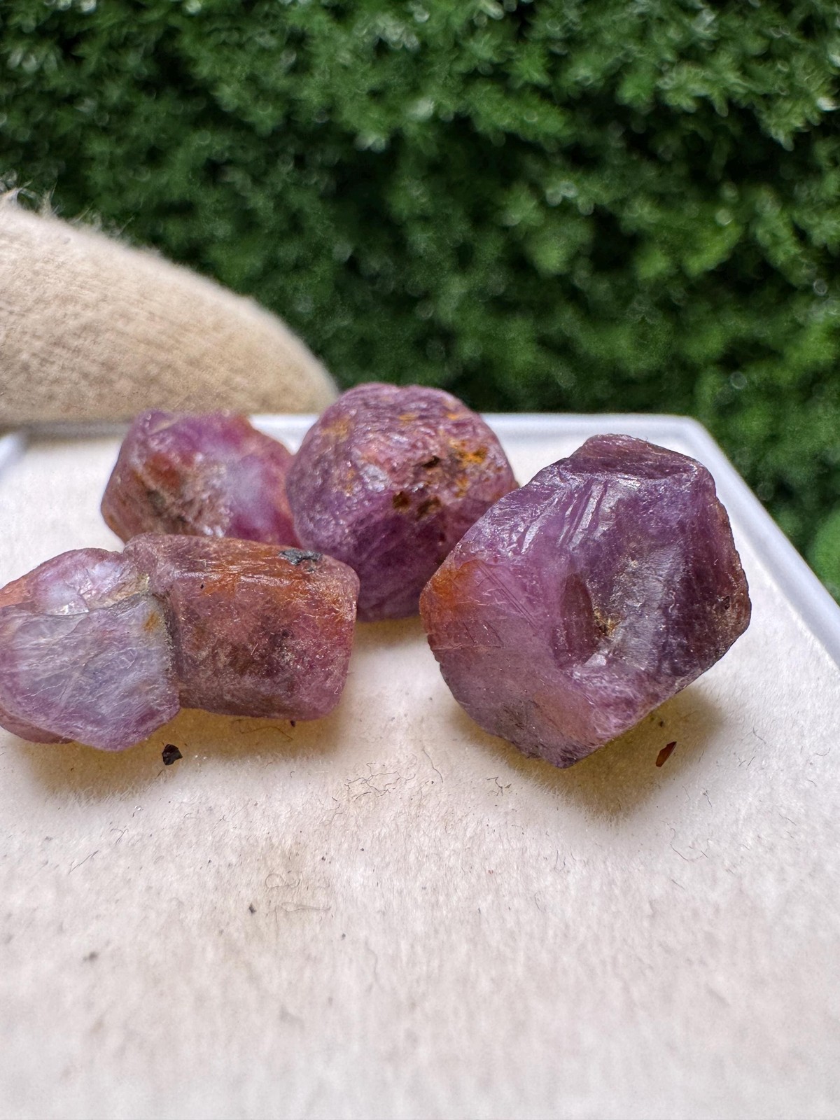 Natural RUBIES from Africa! Lovely Color! Not Enhanced Or / N385