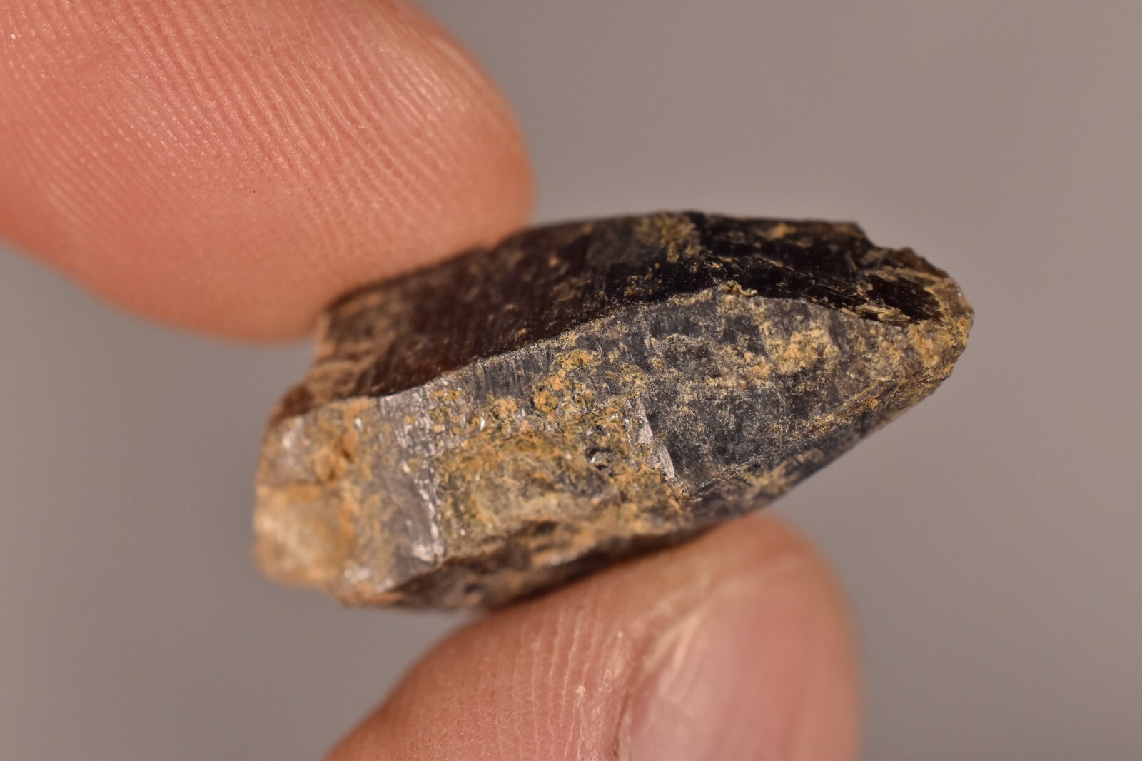 *AUSTRALIAN* Quartz Crystals 2-4cm 30.5g Natural Smokey Clear Citrine Smoky