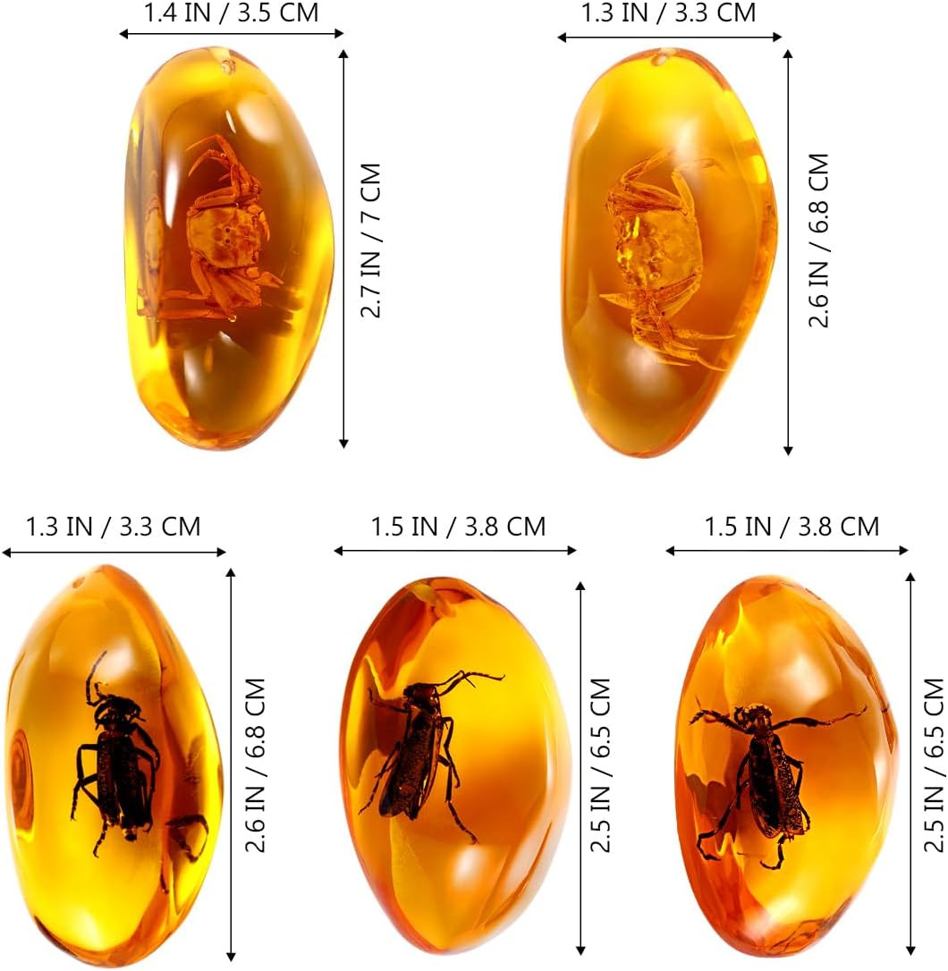 5Pcs Amber Fossil with Insects Samples Stones Crystal Specimens Home Dec