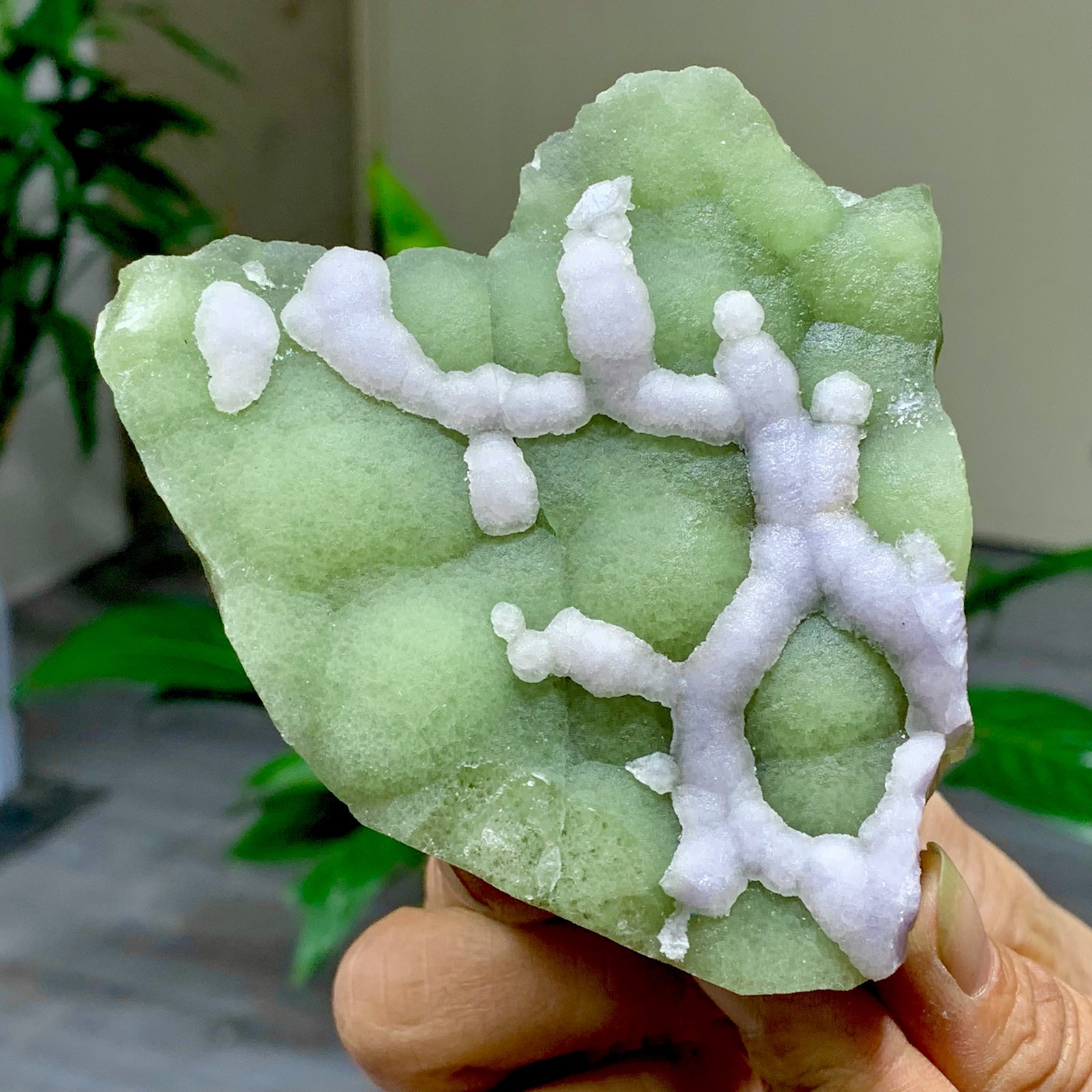 304G Natural Fluorite Green-white dual color crystal mineral Specimen,Zhejiang