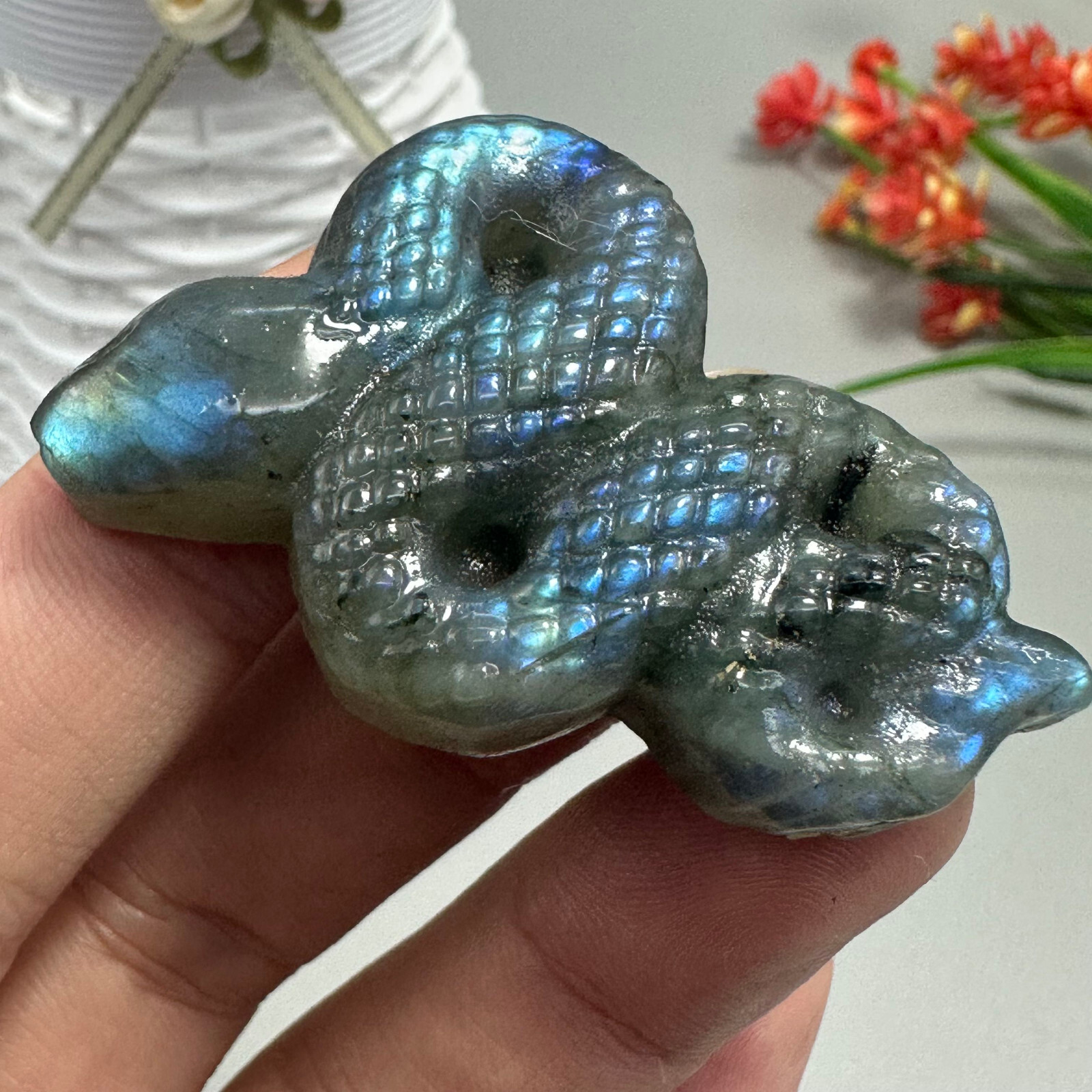 Natural Labradorite Carved Snake Quartz Skull Crystal Specimen Reiki Healing 1pc