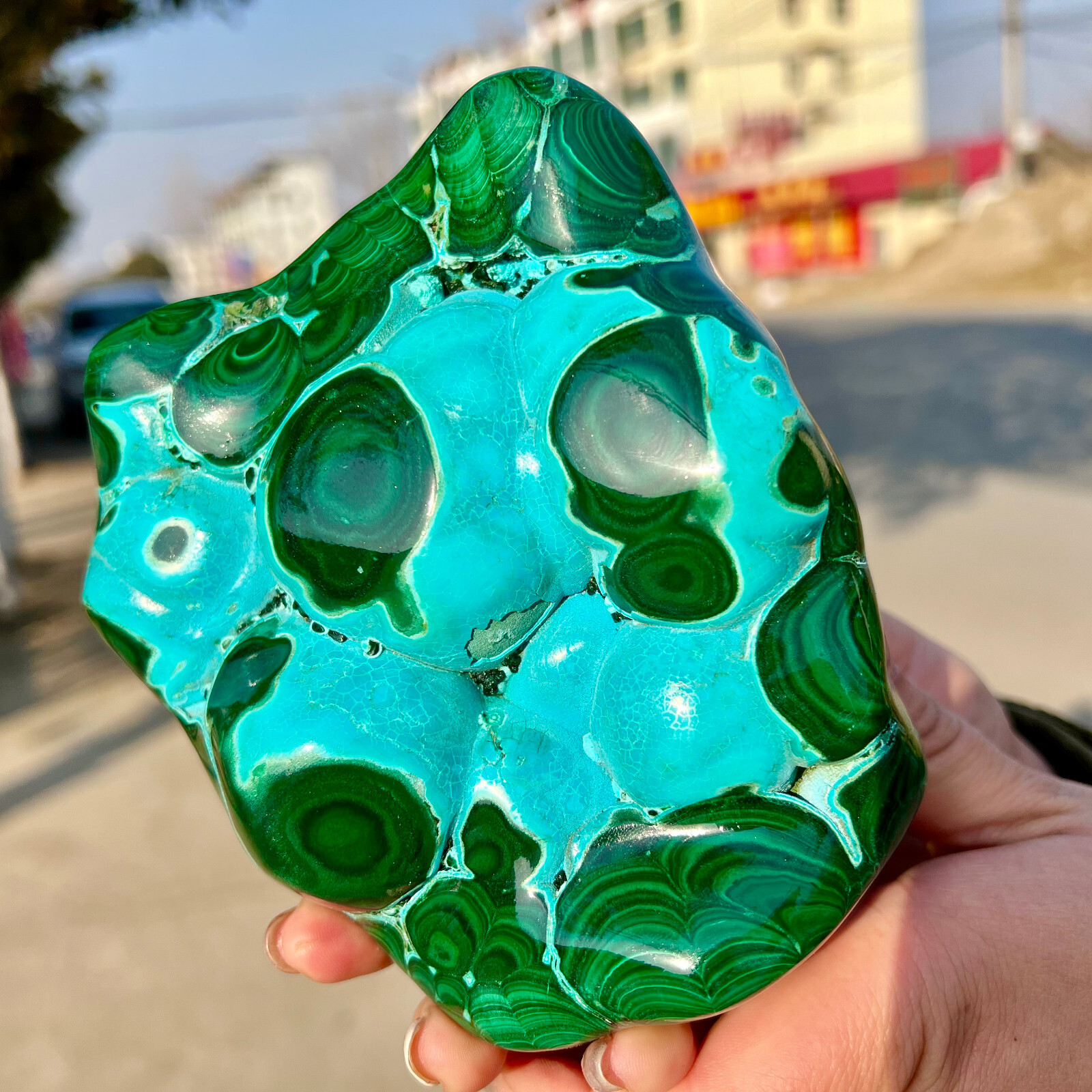 3.03LB Natural tortoise Malachite transparent cluster rough mineral sample