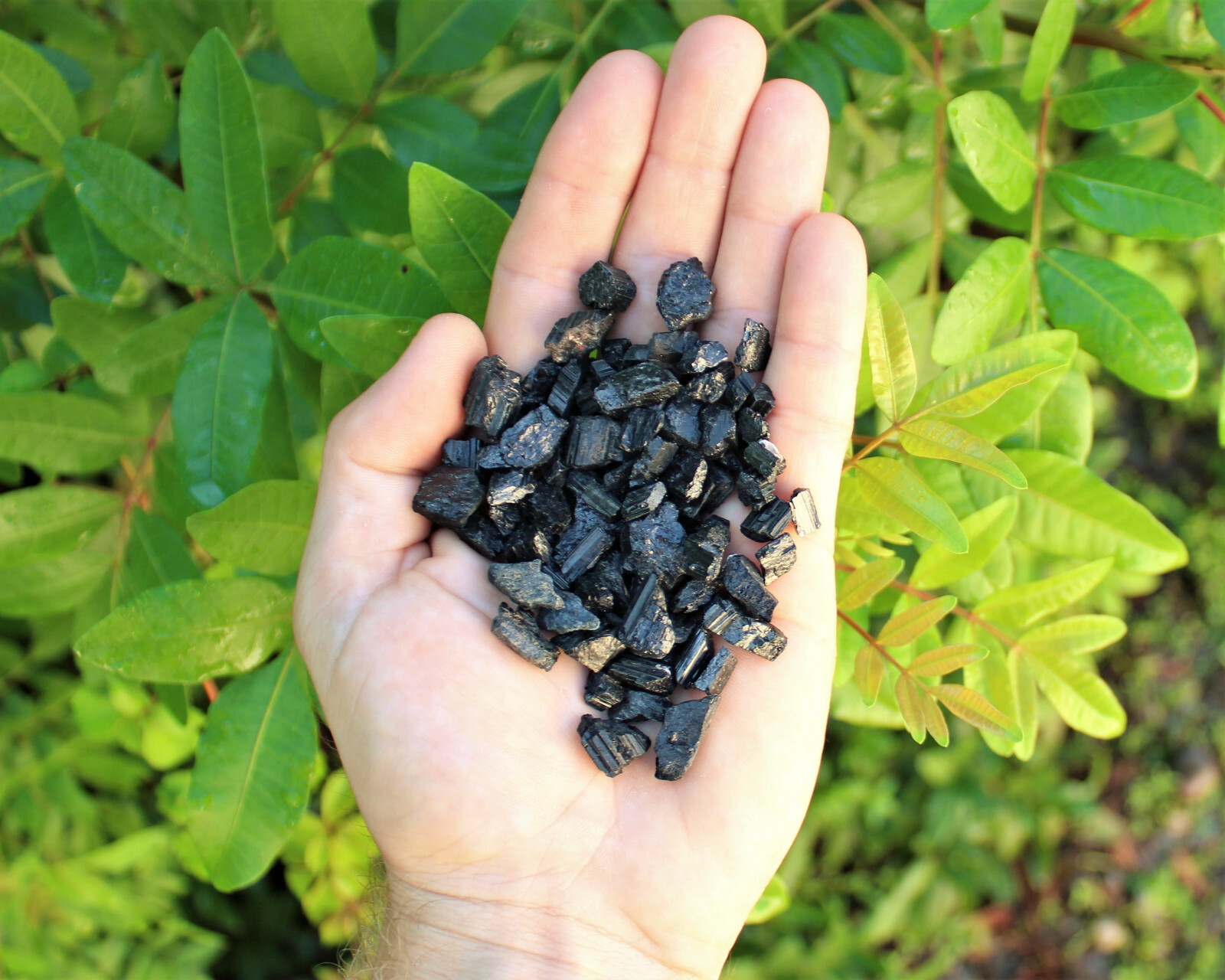 Rough Black Tourmaline Chips, 0.25″ – 0.5″, Natural Raw Tourmaline Crystals