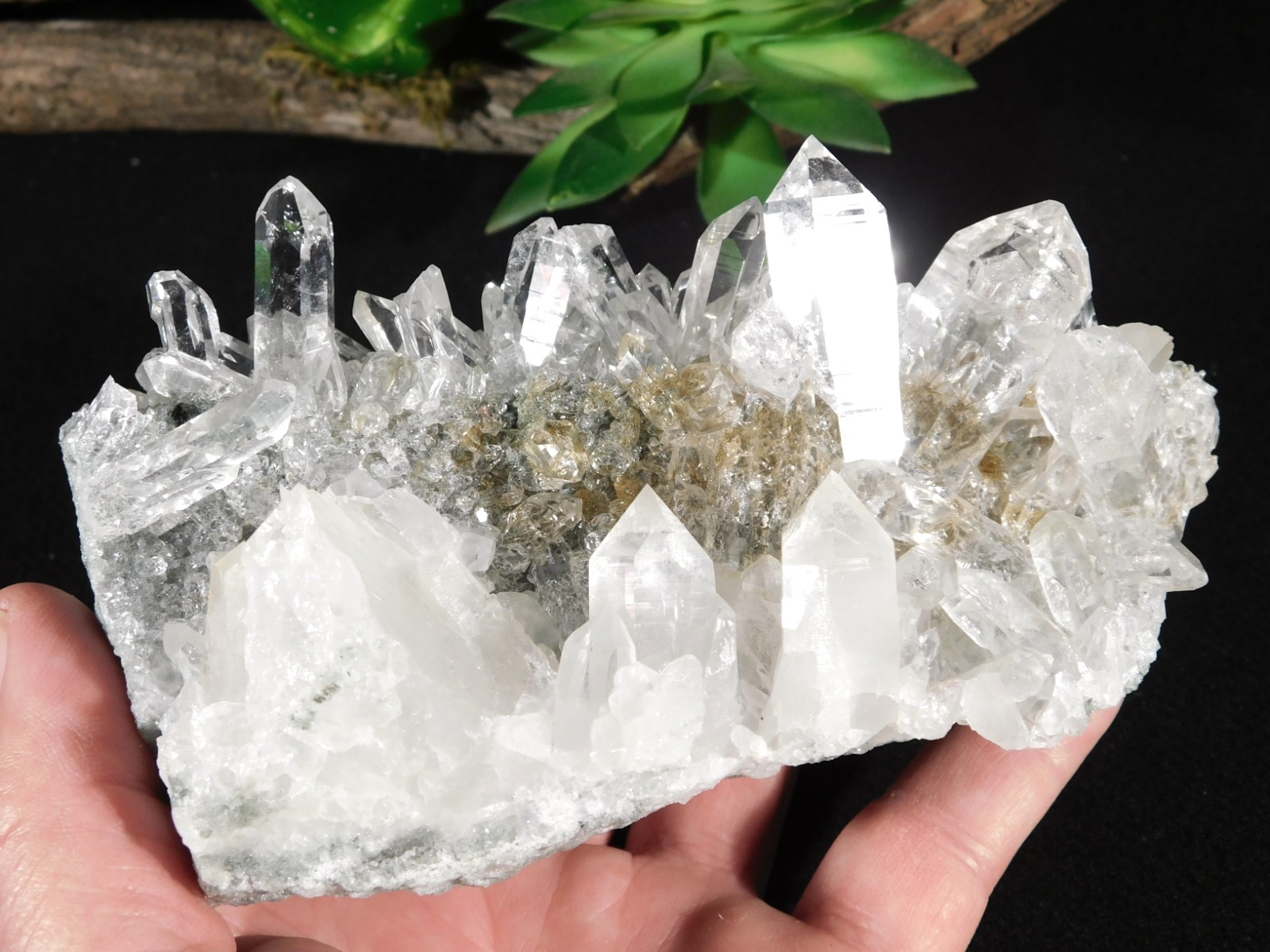 wOw Larger Very! Translucent AAA HIMALAYAN Quartz Crystal Cluster 808gr
