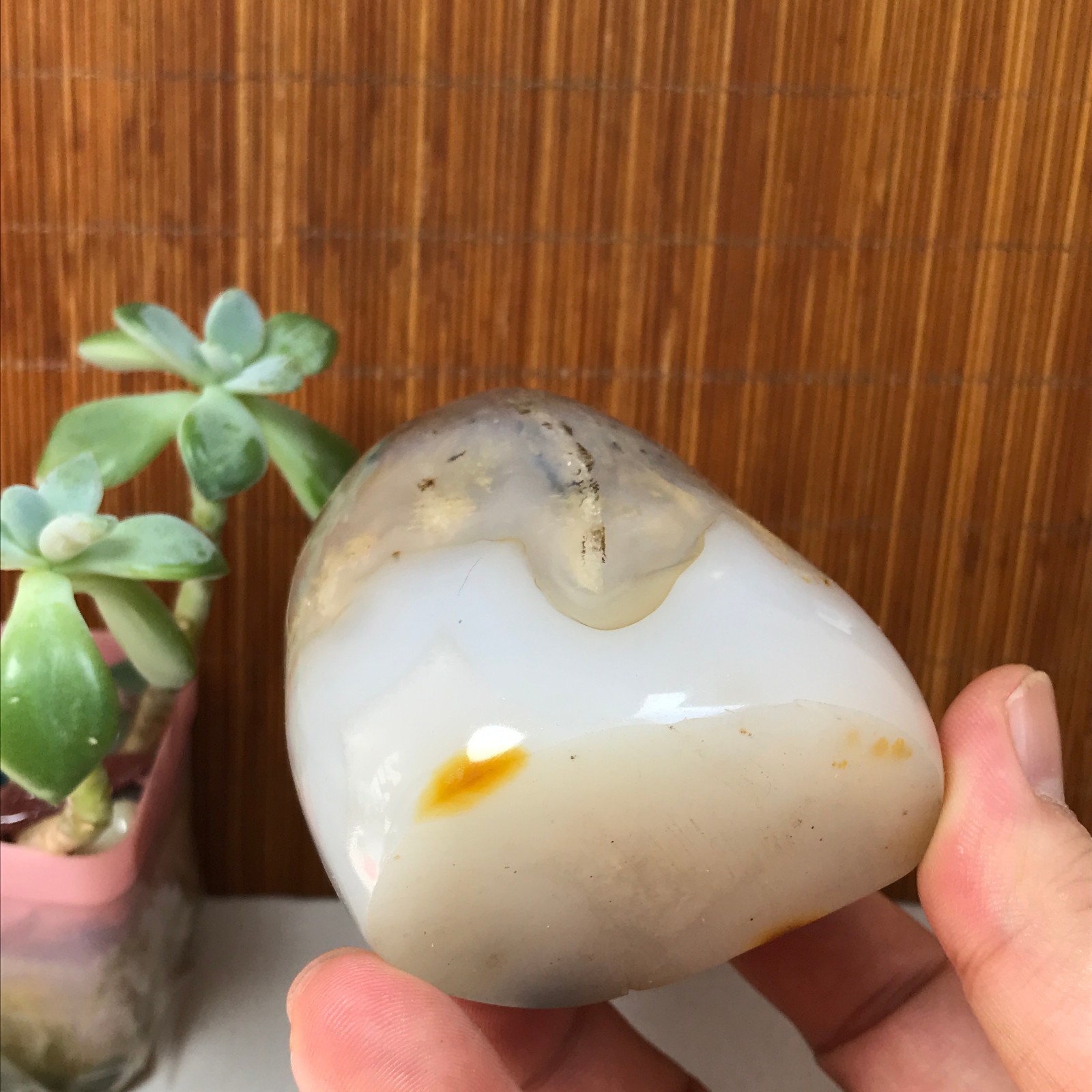 77-74-50mm Natural aquatic plants agate pretty Crystal specimens 433g A1877
