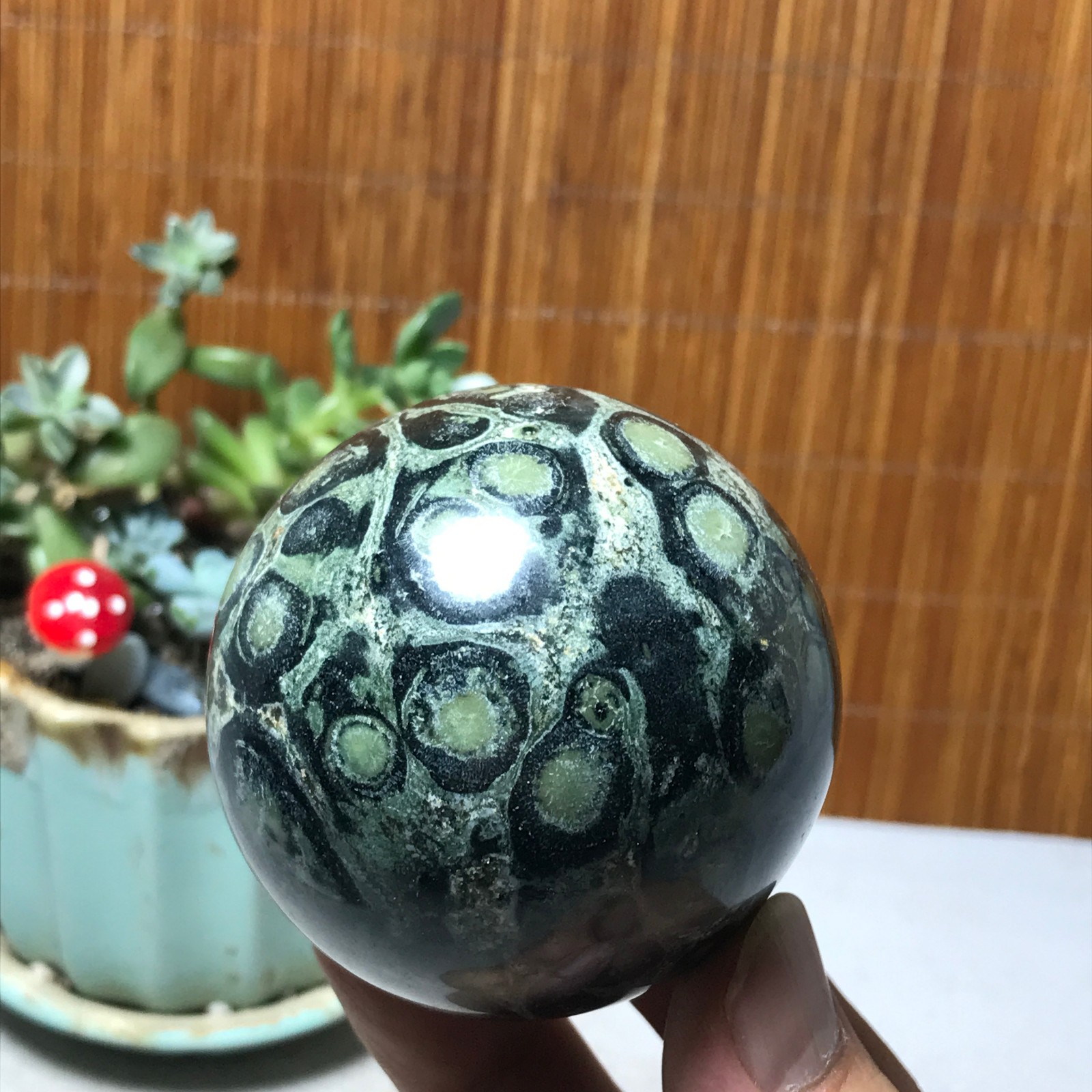 59mm NATURAL Green Kambaba jasper sphere ball quartz Crystal Healing 295g A6016