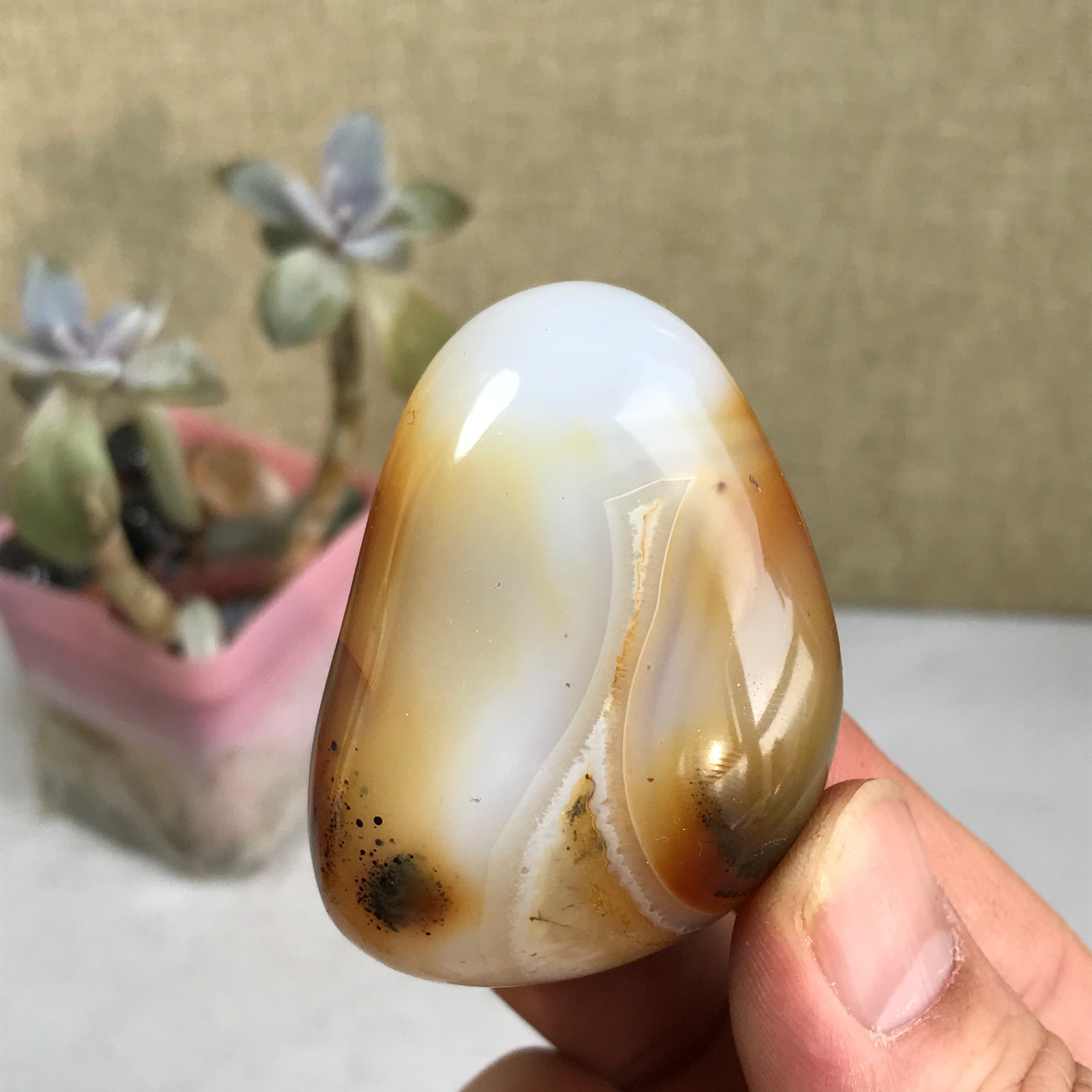 54-38-27mm Natural aquatic plants agate pretty Crystal specimens 79g A2379