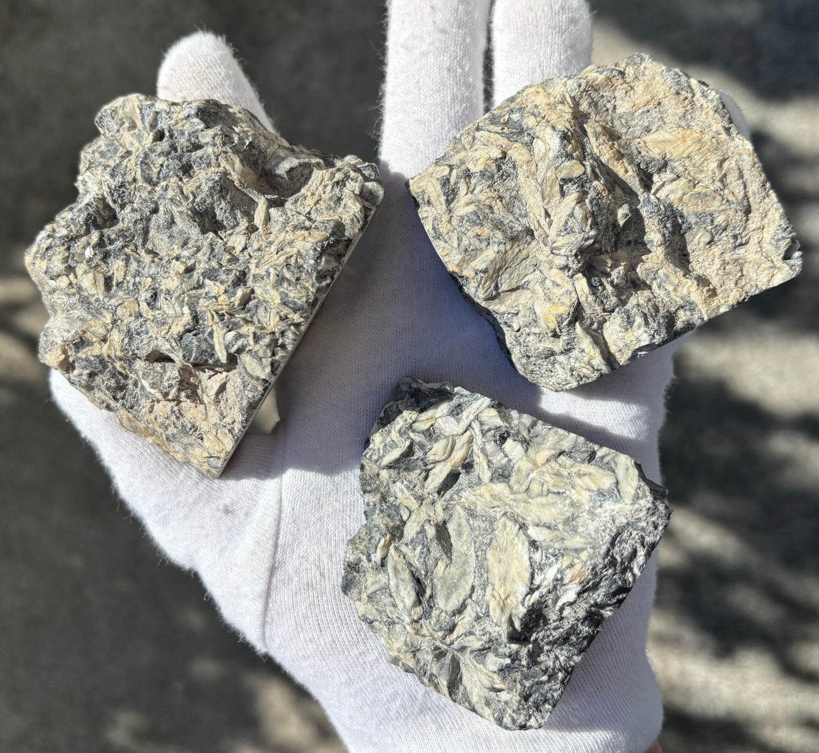1lb+ LOT PINOLITH JASPER ROUGH LARGE SPECIMENS SPECIMEN 1 POUND LARGE CHUNKS