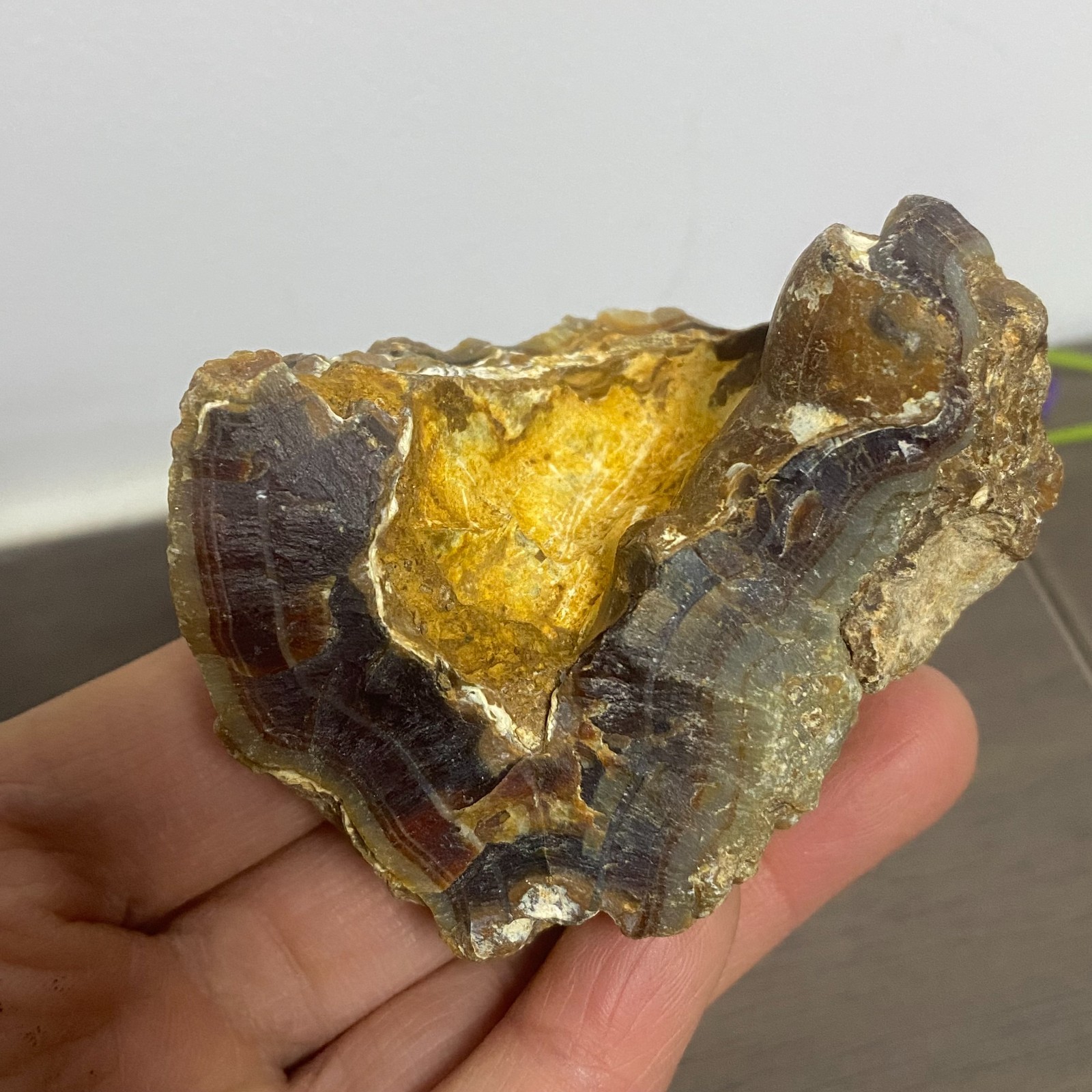 133g Bonsai Suiseki-Gobi Agate Eyes Stone-Rare Stunning