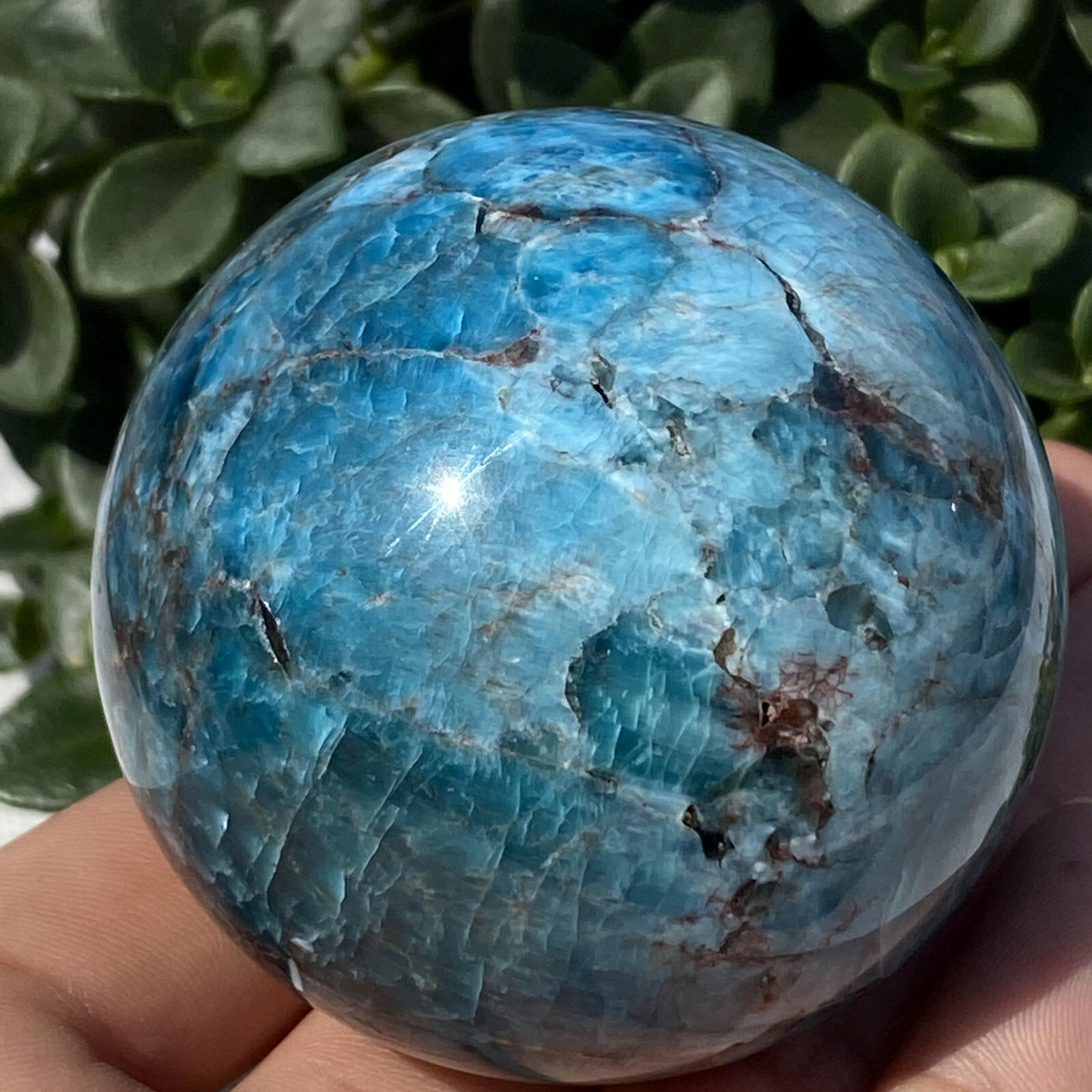 1pc Natural Blue Apatite Ball Sphere Quartz Crystal Mineral Reike Healing 58.7mm