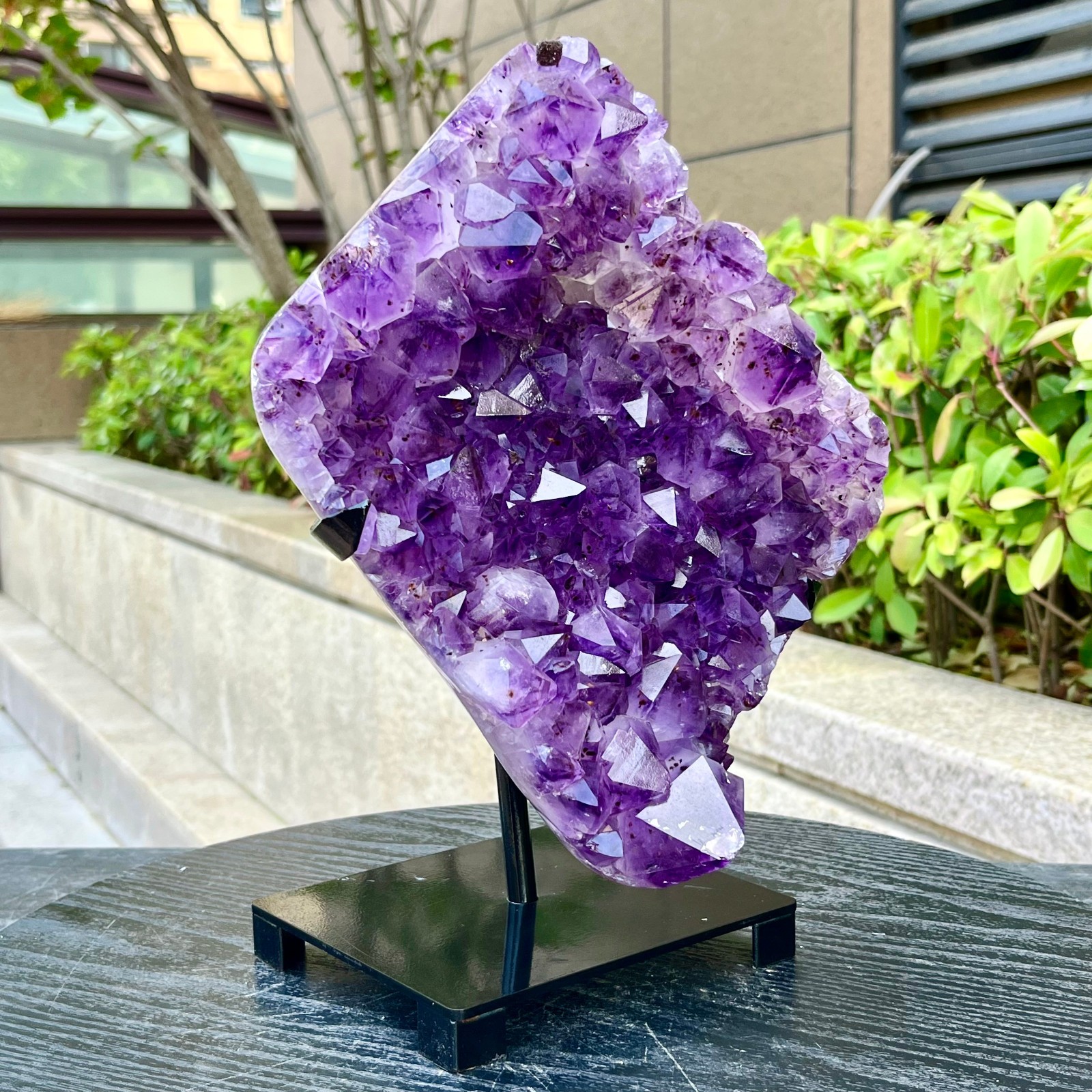 8.76LB Natural Brazilian high-grade amethyst thin skin large teeth