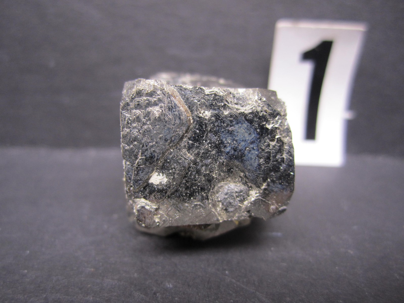 Franckeite on Pyrite, Poopo, Bolivia #1