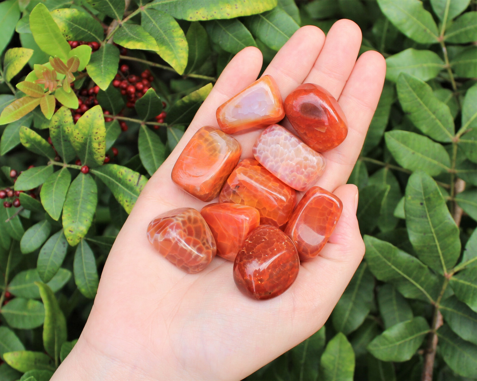 1 Fire Agate Tumbled Stone (Premium Quality ‘A’ Grade Fire Agate Crystals)