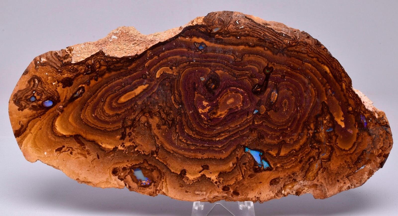 BOULDER OPAL, FOREST FLOOR, Koroit, Queensland, Australia S173