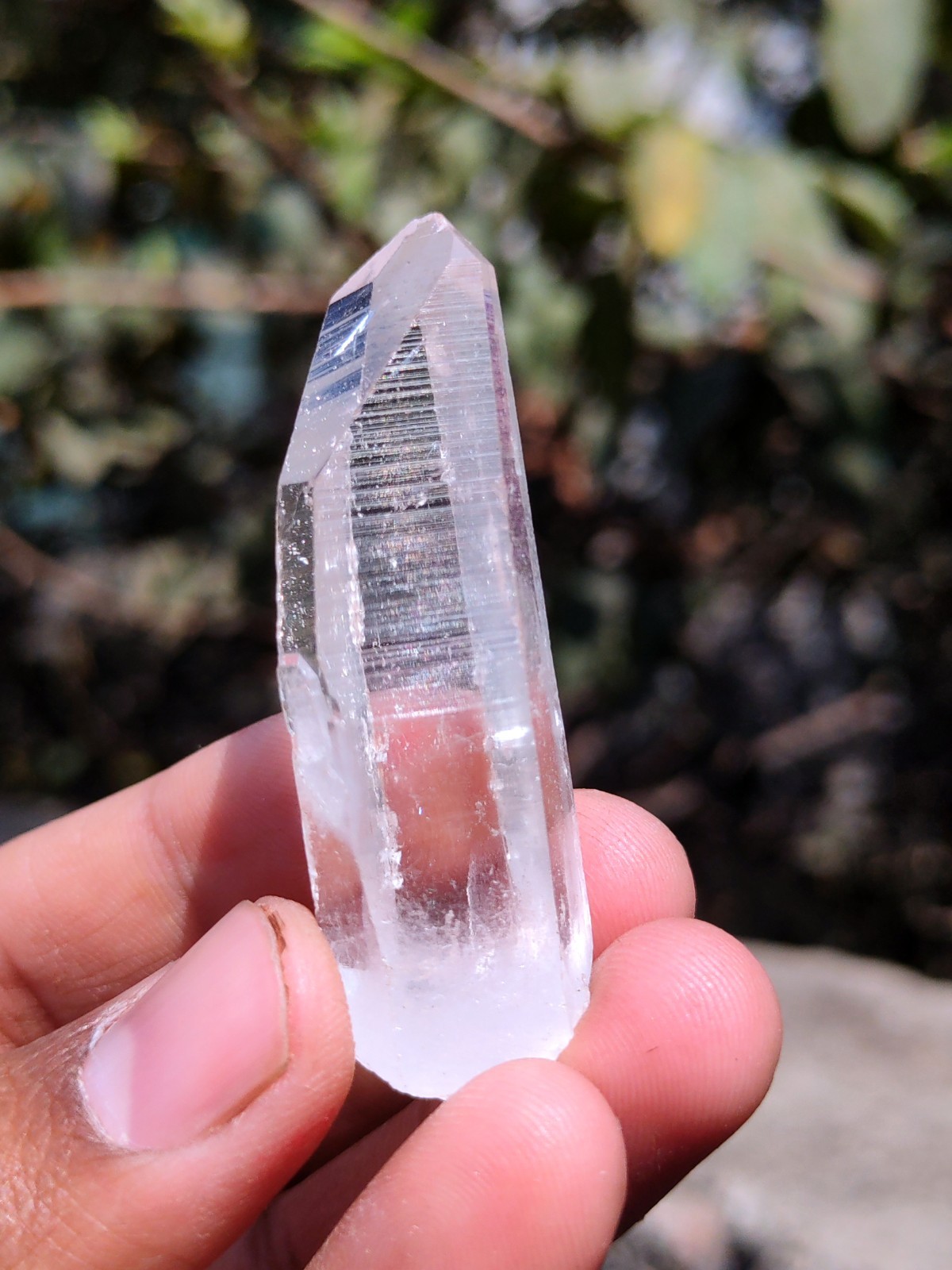 Lemurian Clear Himalayan Crystal Natural Mineral specimen.