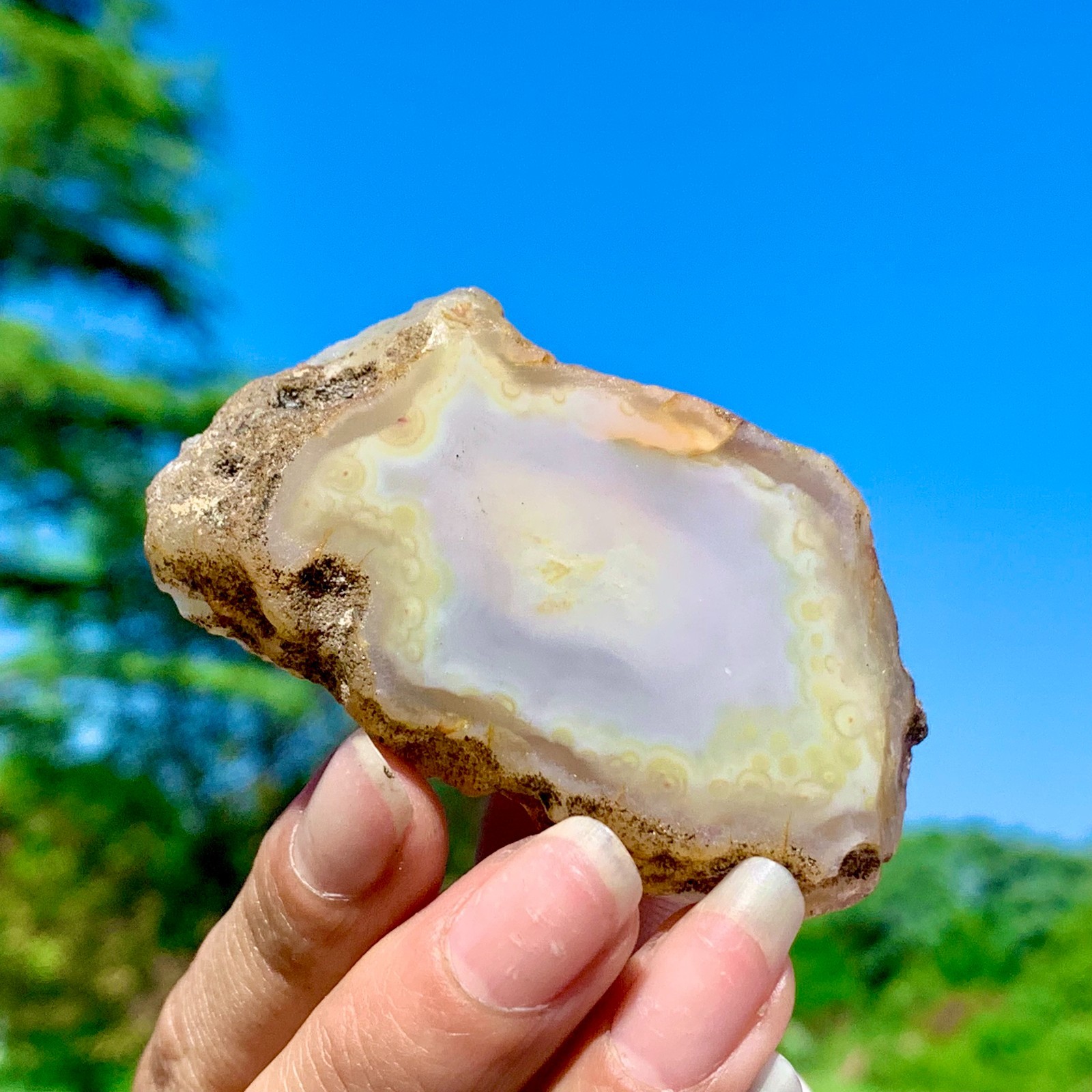 64G AAA Grade Natural Beautiful Yellow Agate Geode Druzy Slice Extra Large Gem