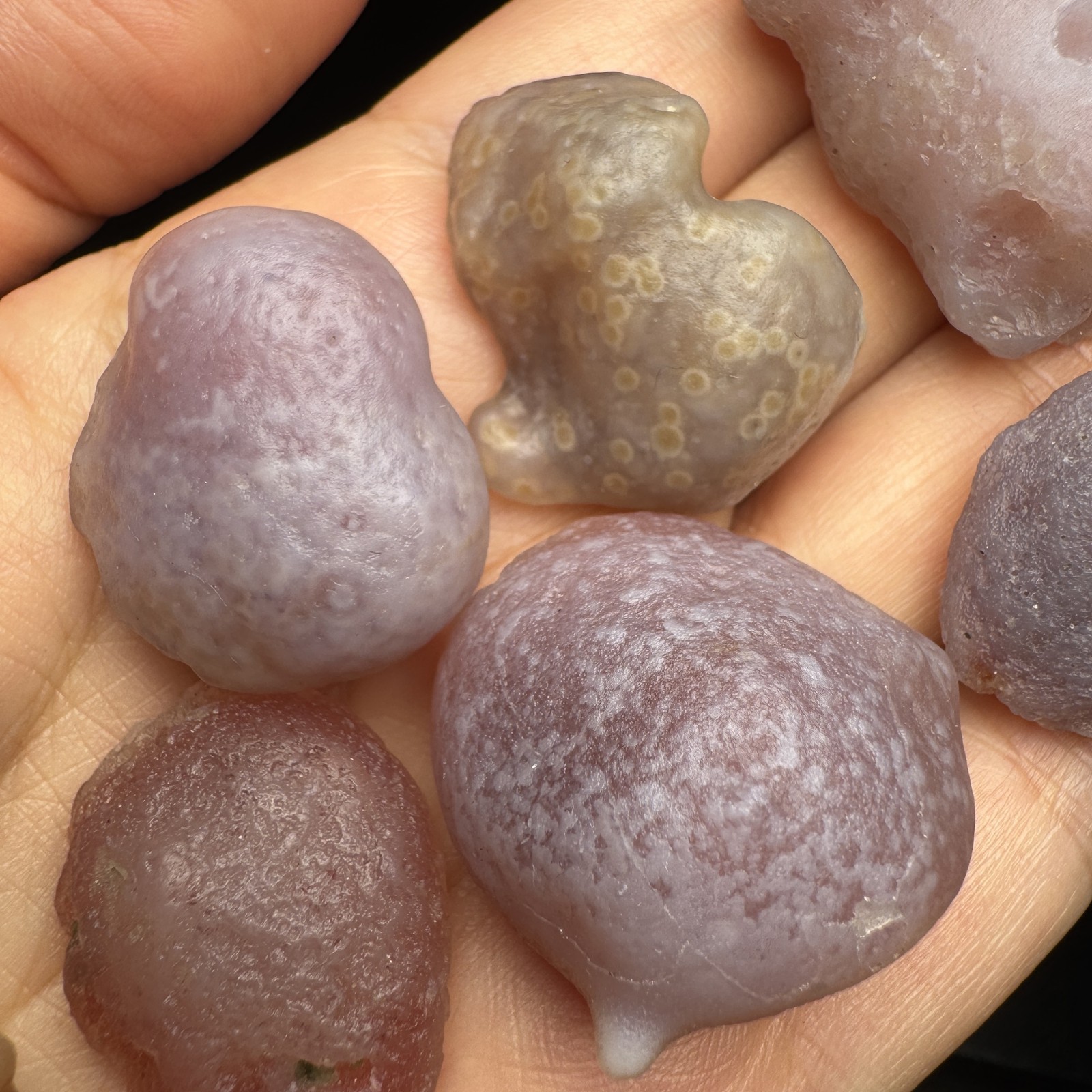 9pcs 86G Selected Natural Alxa Gobi Candy Agate Set #6633