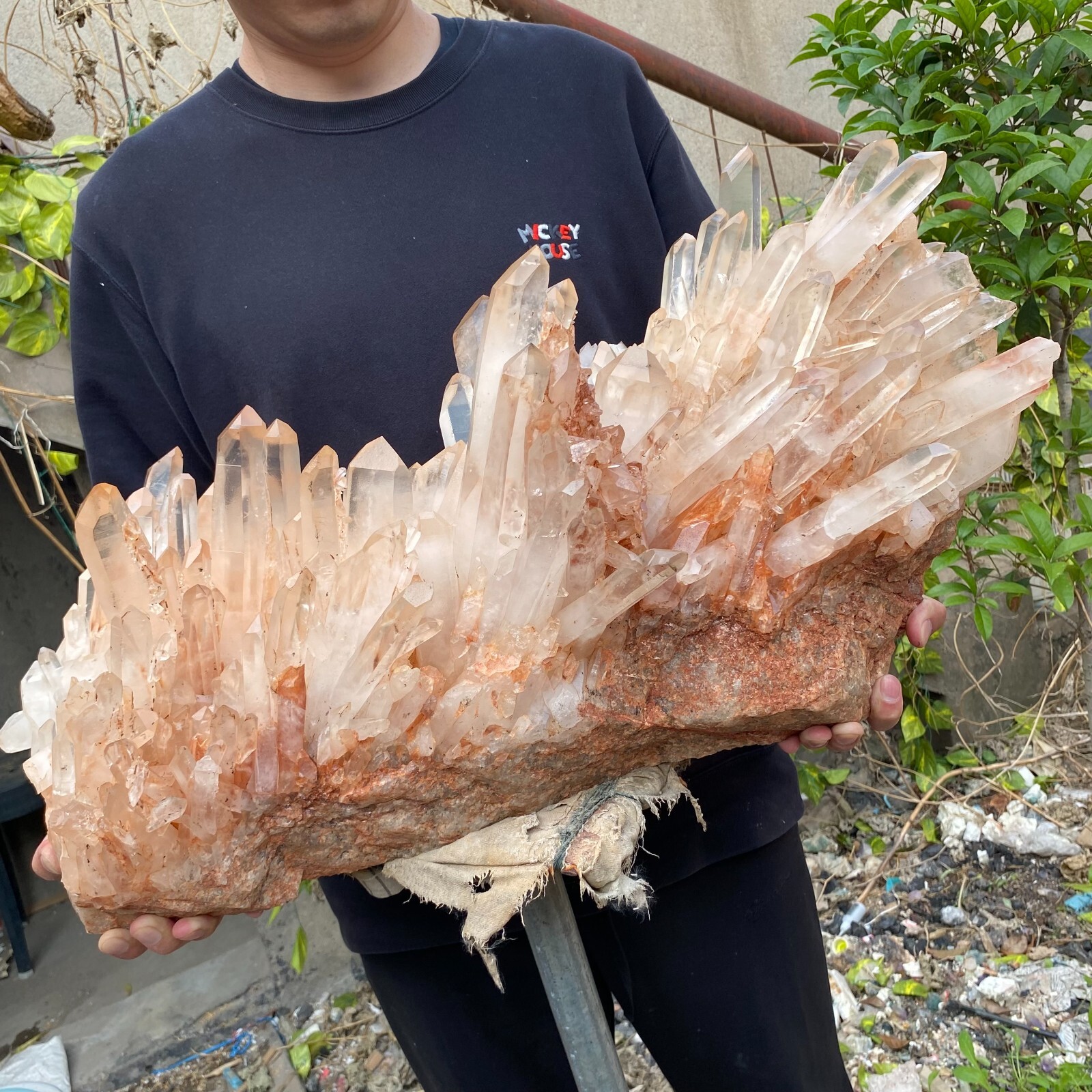 81.6lb Natural Clear White quart Crystal Cluster Raw Healing Specimen