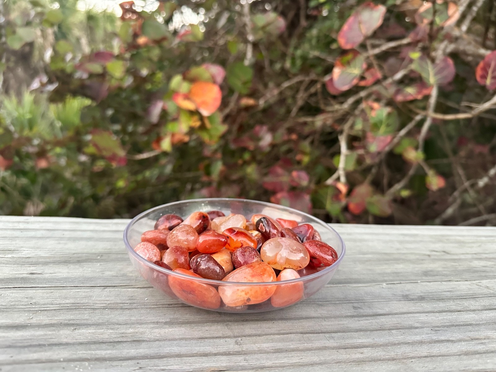 1/2 lb Carnelian Tumbled Stones – Bulk Polished Orange Crystals Lot (8 oz)