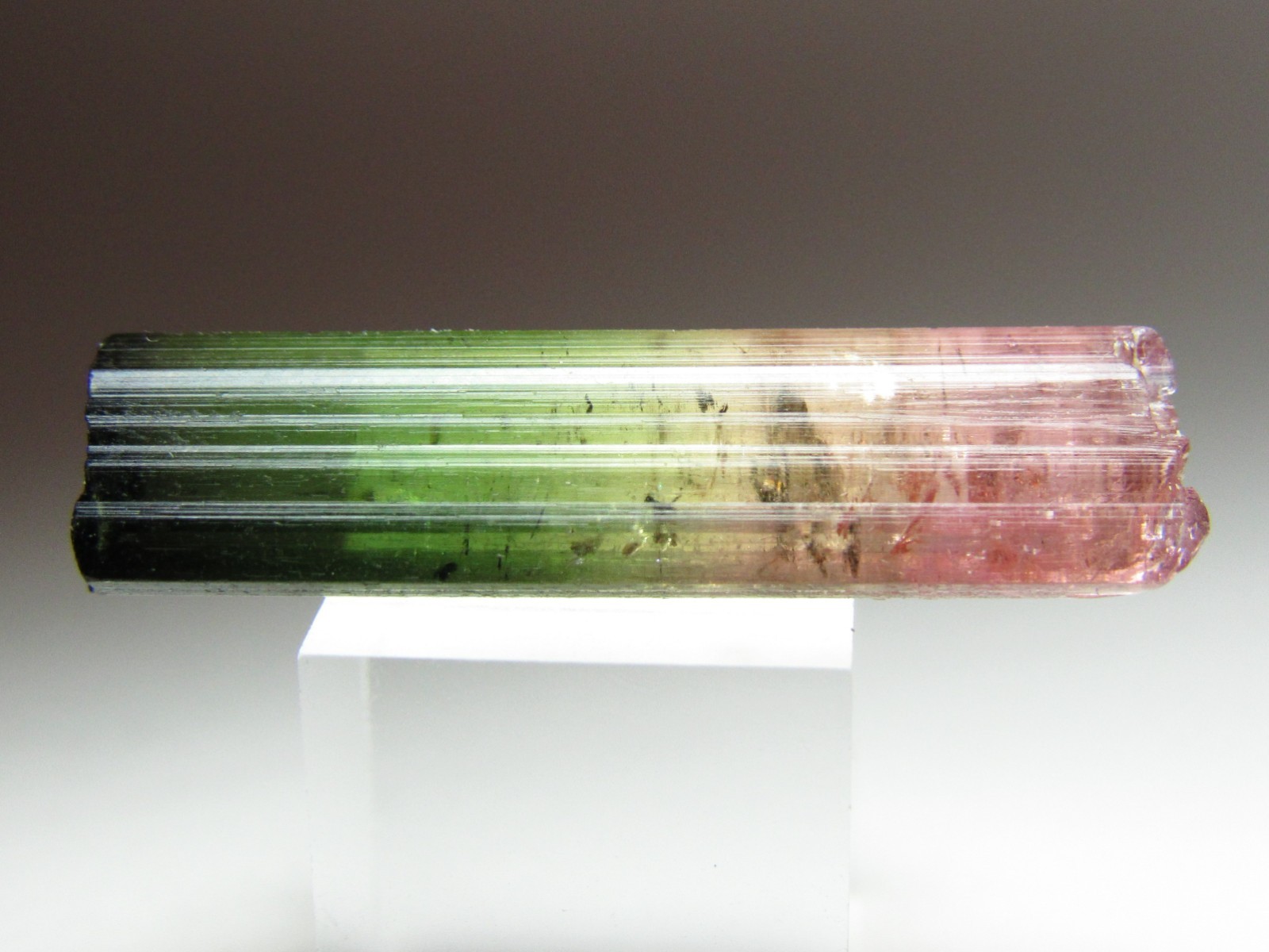 BREATHTAKING COLORS GLASSY GEM TOURMALINE CRYSTAL!!! AFGHANISTAN
