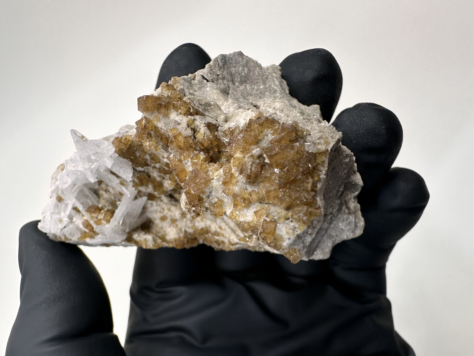 FLUORESCENT__Large Root beer Fluorite & Celestite Specimen / Clay Center Ohio