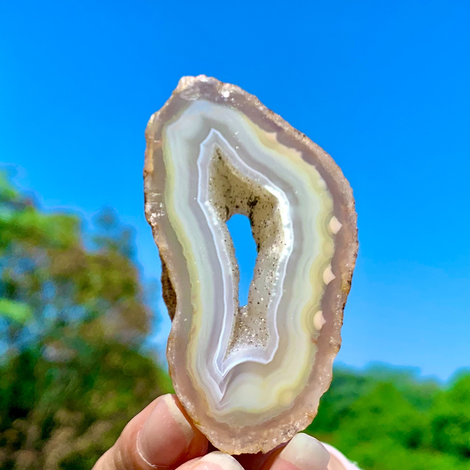 52G AAA Grade Natural Beautiful Yellow Agate Geode Druzy Slice Extra Large Gem