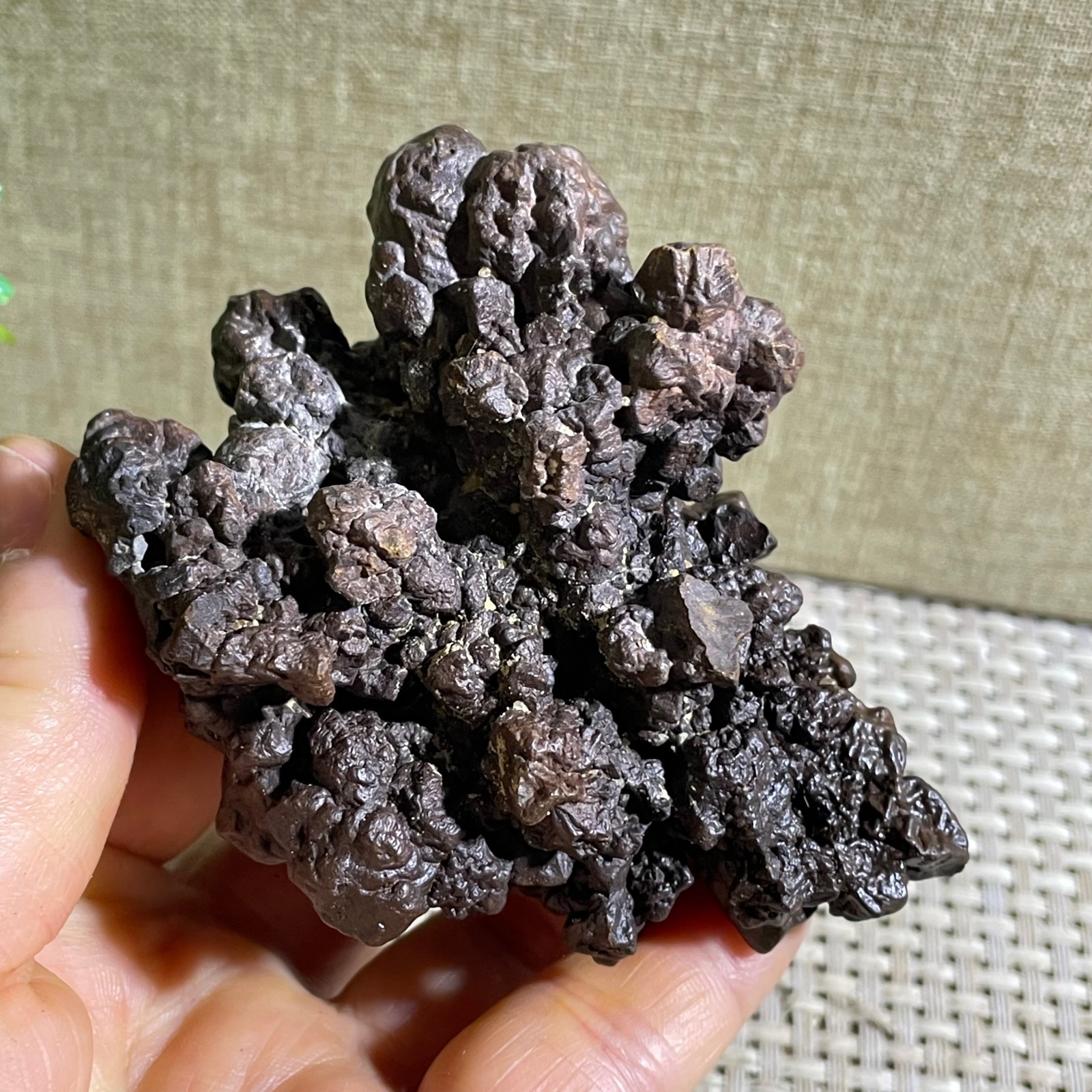 228g Limonite & Hematite pseudomorph after Marcasite Prophecy Rock Stone
