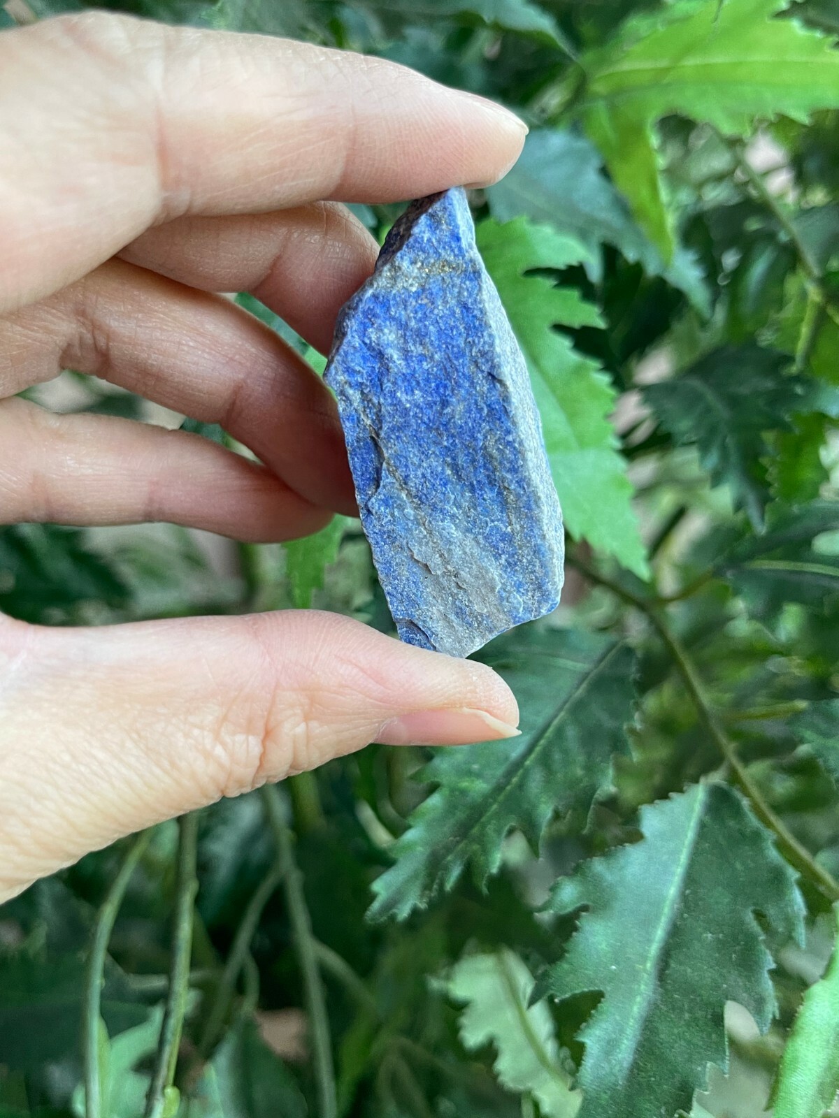 Grade A+ Large Lapis Lazuli Raw Stone 1-2 Inches, Wholesale Bulk Lot