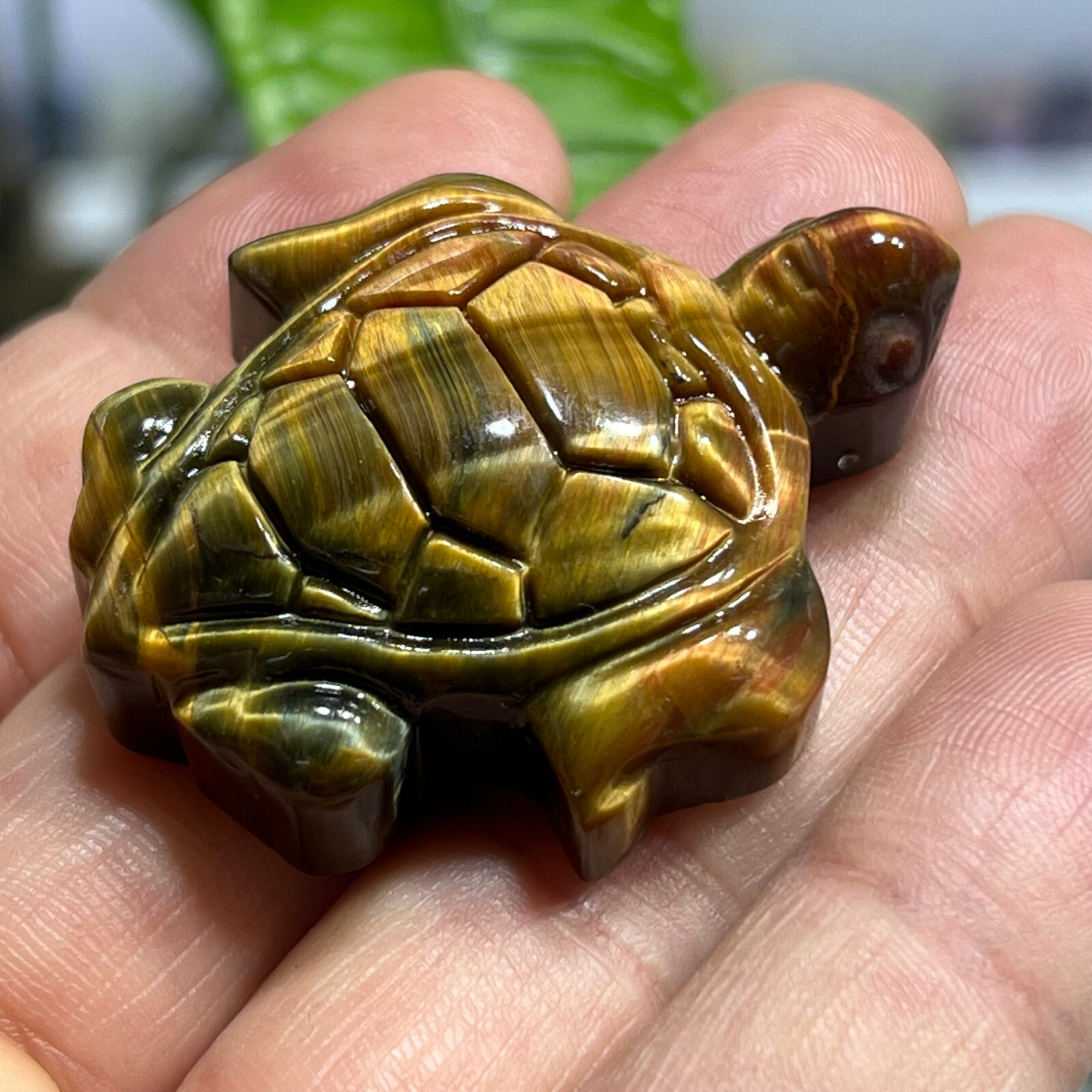 2″ Natural Tiger’s Eye Quartz Hand Carved sea turtle skull Crystal healing