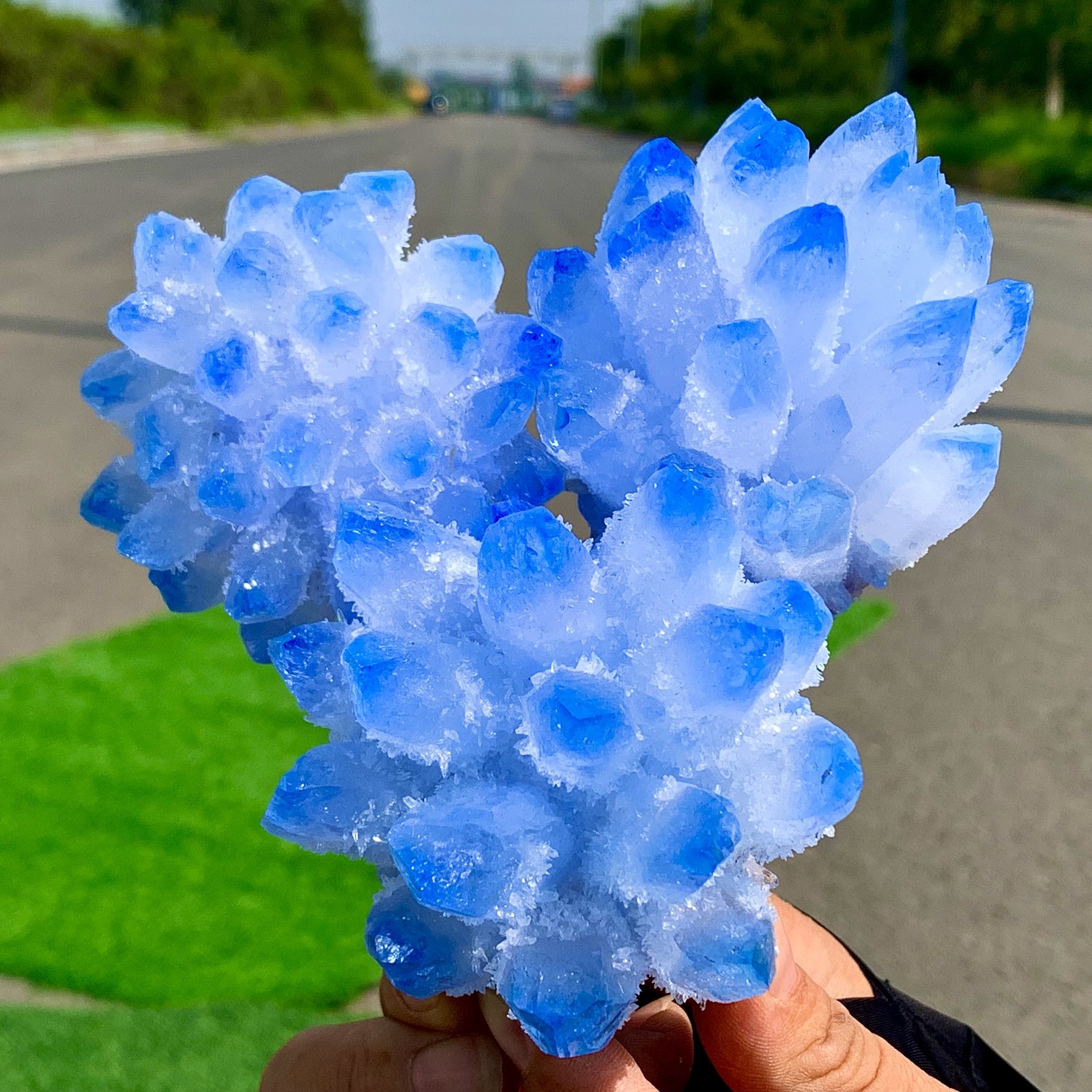 1.85LB Newly discovered blue phantom crystal quartz cluster mineral sample
