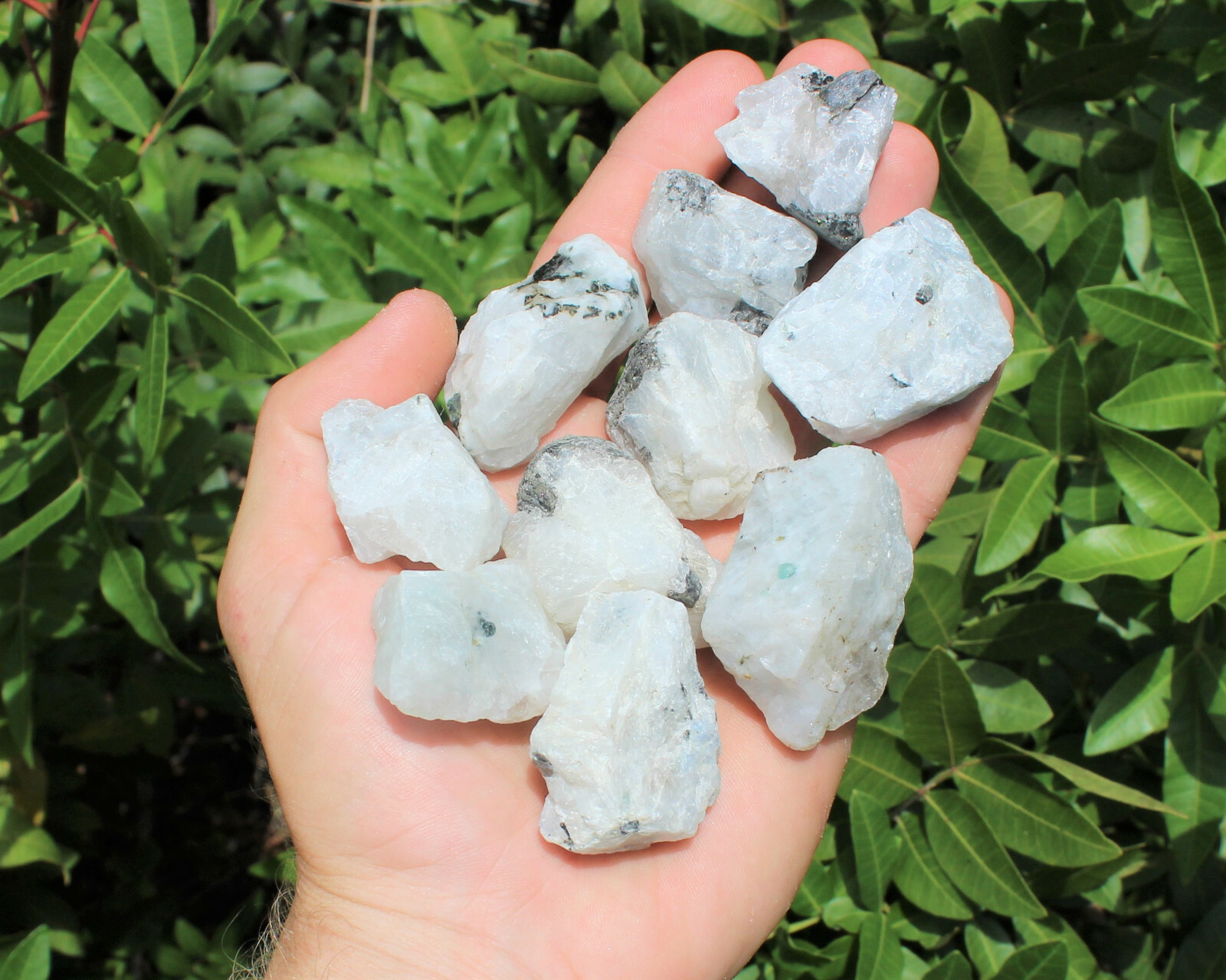 1/2 lb Bulk Lot Natural Rough Rainbow Moonstone Crystals (Raw Reiki Rocks 8 oz)