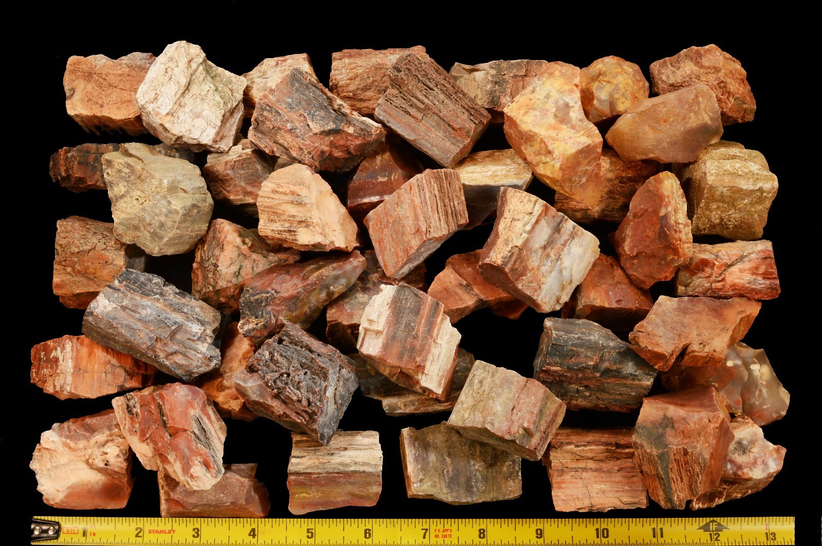 PETRIFIED WOOD 2″ 2 Pieces Madagascar Raw Rock Mineral Specimen Chakra Healing