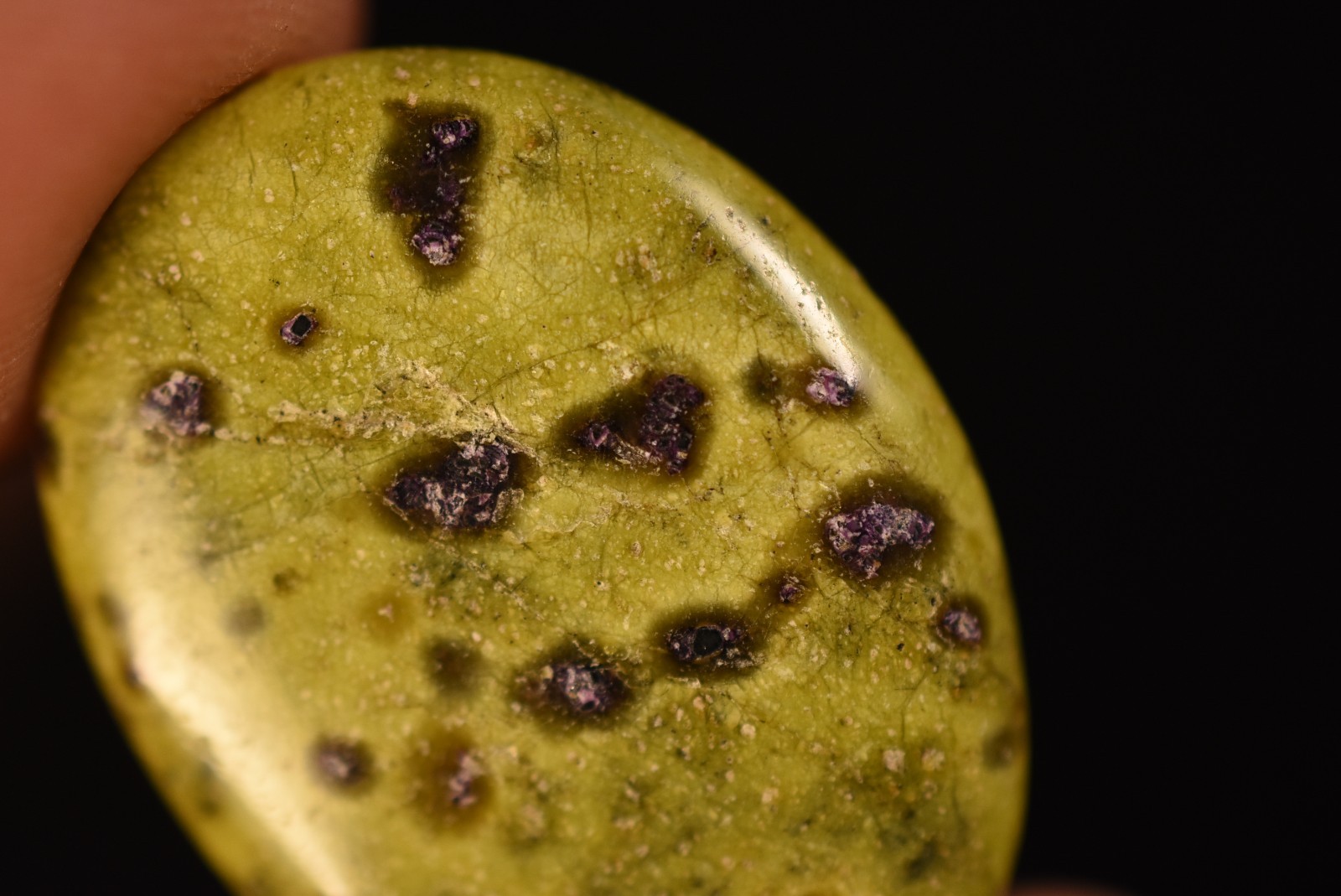 2 *ATLANTISITE* Flat Stones 3cm 11.8g Palm Stichtite In Serpentine Natural