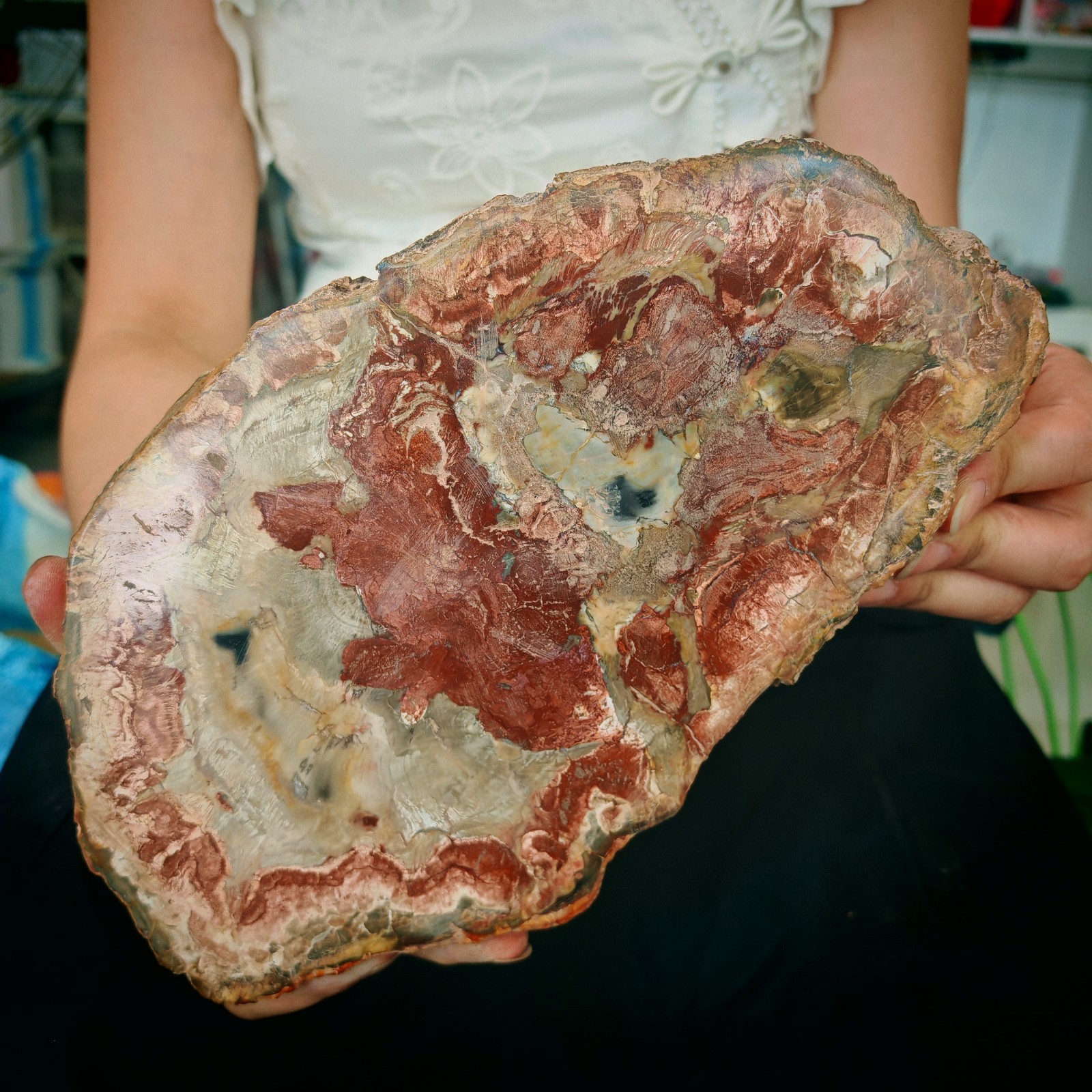3.19LB Natural Jurassic and Cretaceous wood fossil crystal slice specimen 1.45kg