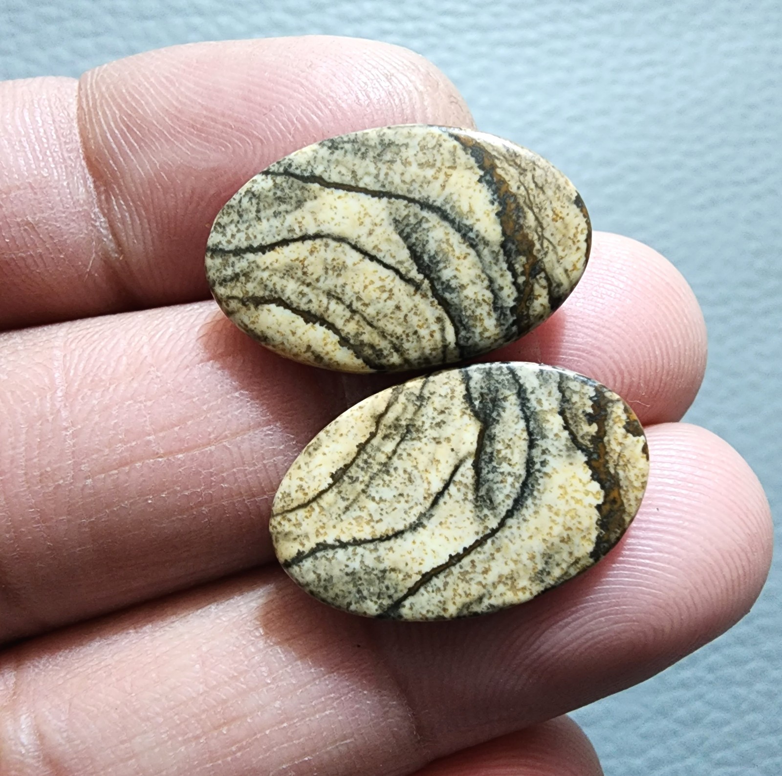 Natural Picture Jasper Matching Pair 19Ct Oval Shape Cabochon Loose Gemstone