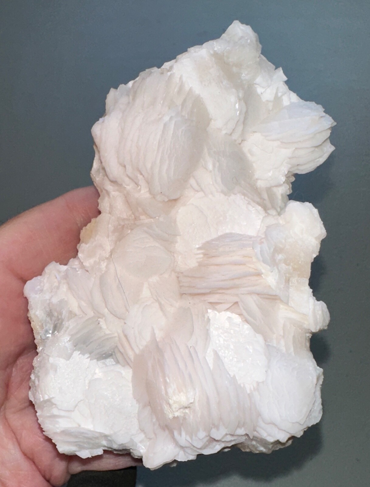 Rose Petal Calcite Specimen,Metaphysical,UV,Quartz Crystal Gift,Unique,Decor
