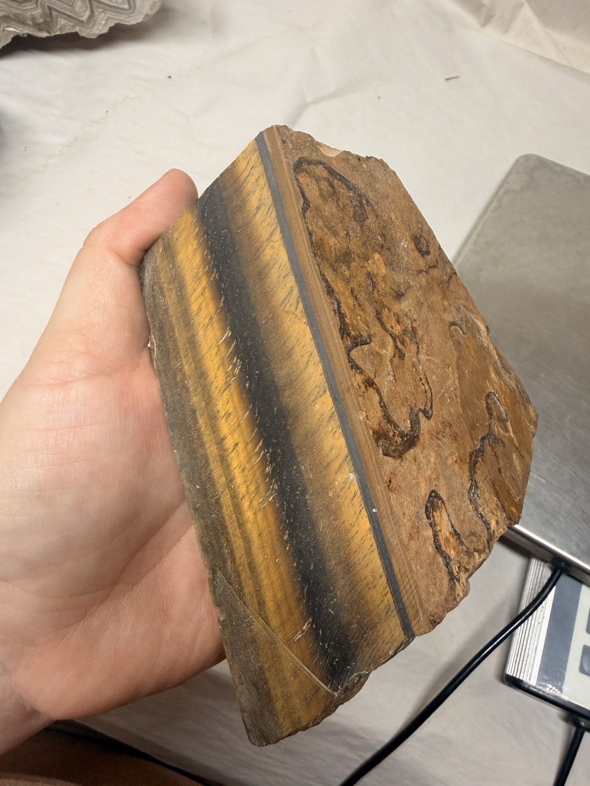 Natural Double Sided Flash Tiger’s Eye Stone Rock Specimen Rough 2.7 POUNDS