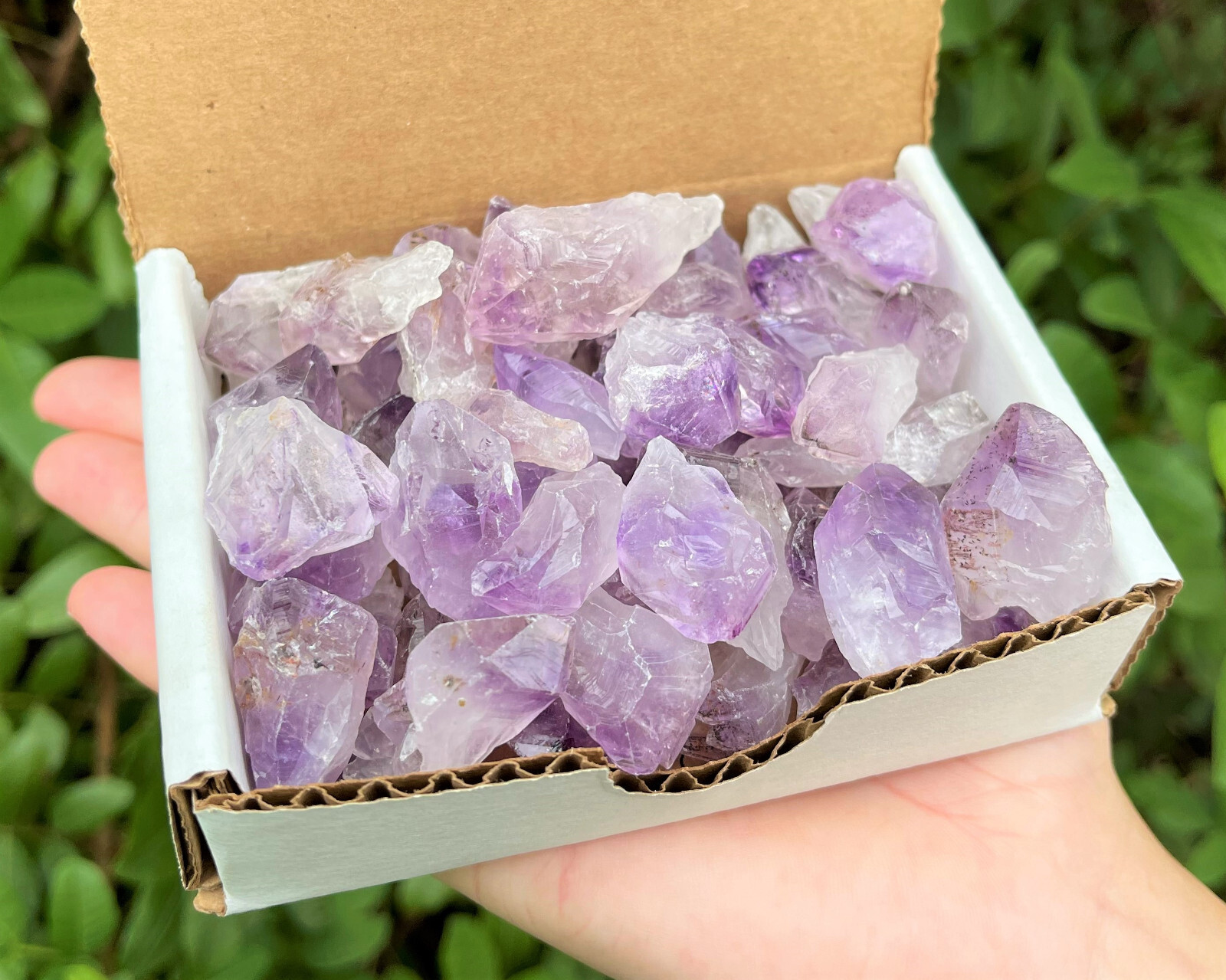 1/2 lb (8 oz) Bulk Amethyst Points Crystal Collection Natural Specimens in Box