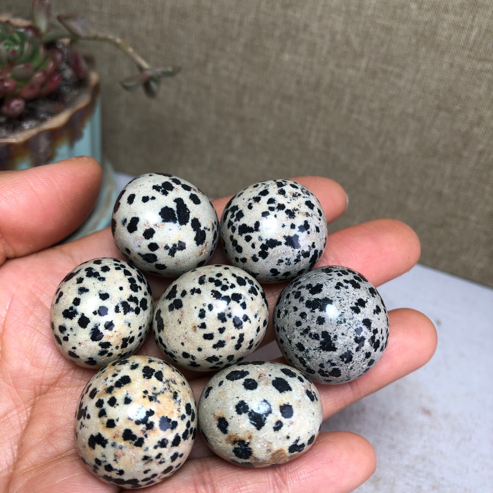 7pcs Natural Yellow spotted stone semi-precious Crystal specimens 119g A3584