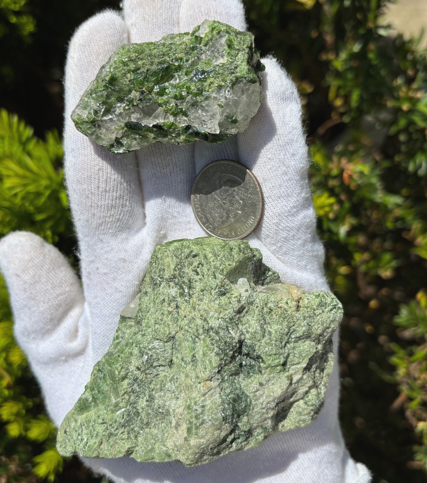 USA SALE SEE VIDEO 215g LOT DIOPSIDE GEM QUARTZ ROUGH SPECIMENS SPECIMEN
