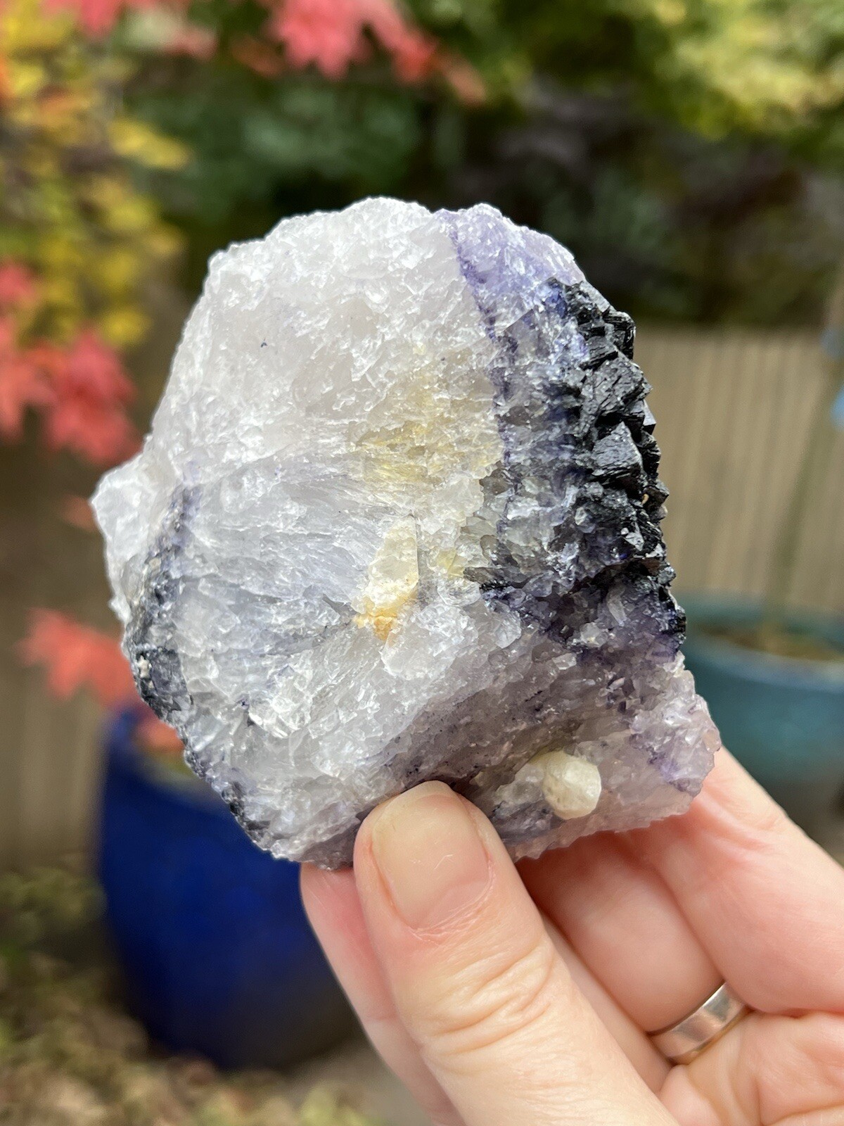 Blue John Fluorite Mineral Specimen United Kingdom 307g 10
