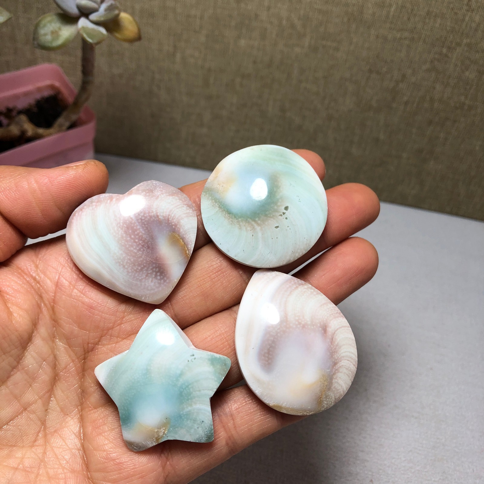 4pcs Rare sun shell Reiki Shiva Eye ocean semi-precious stone 70g A2755