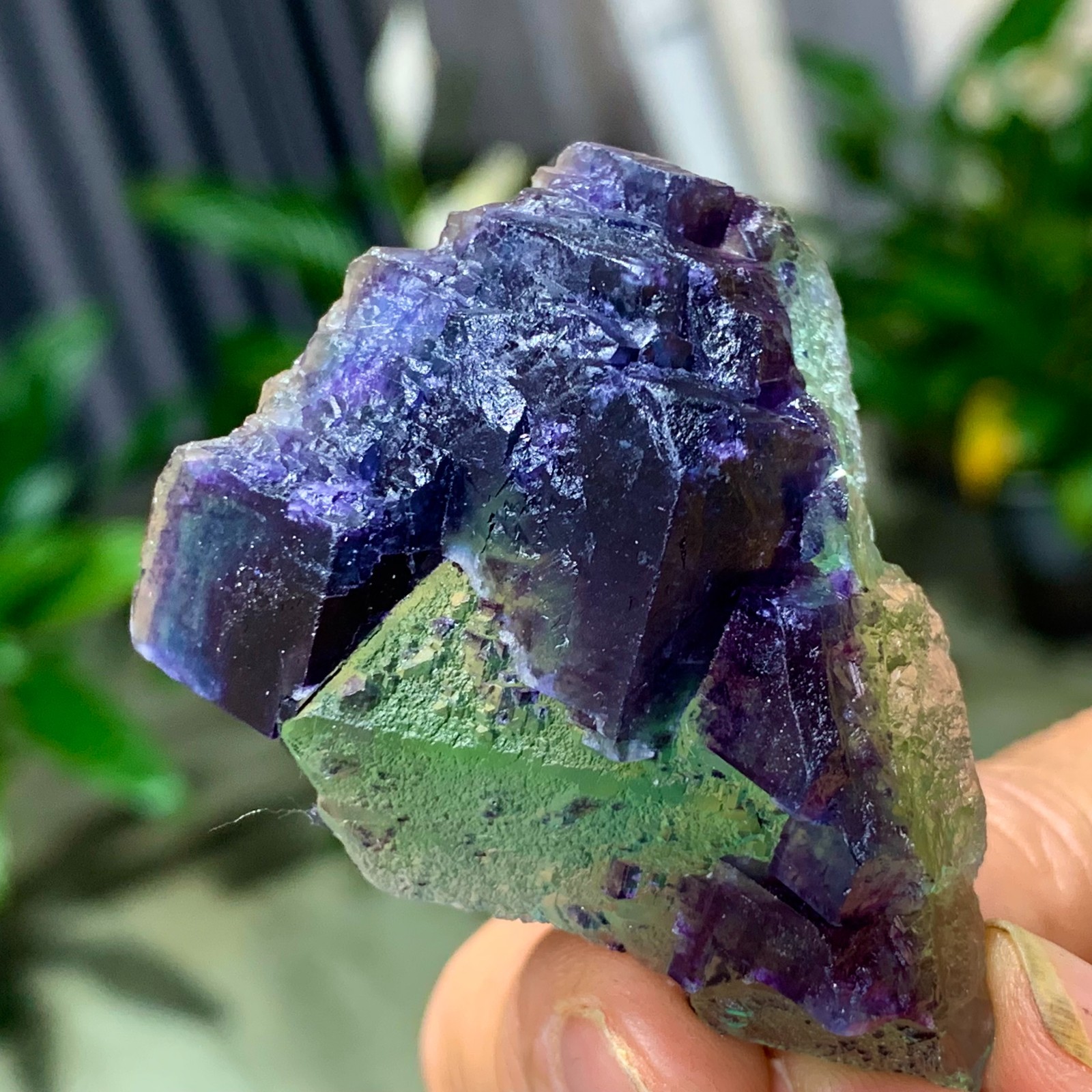 50G Rare transparent green purple cubic Zhejiang fluorite mineral sample