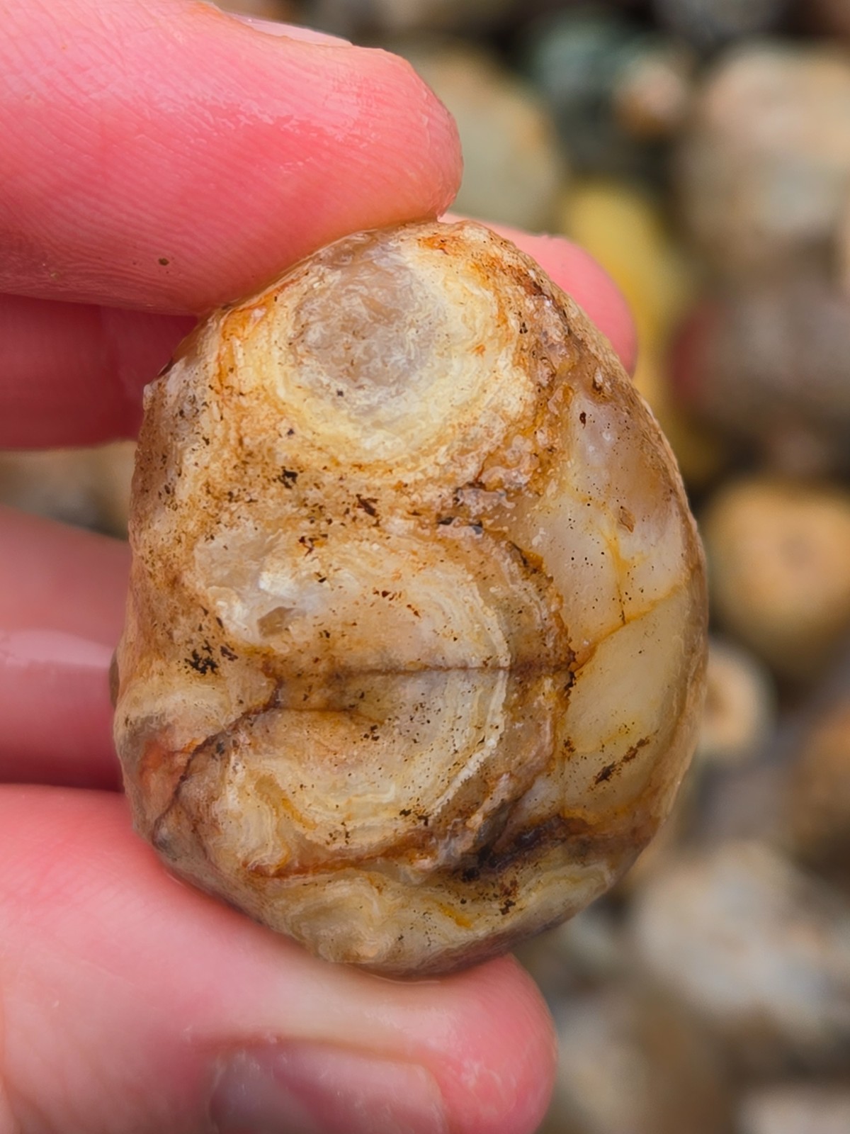 Oco Agate Geodes Whole – Mine Run Rough – 1 Pound Lb – Mostly Solid Agate