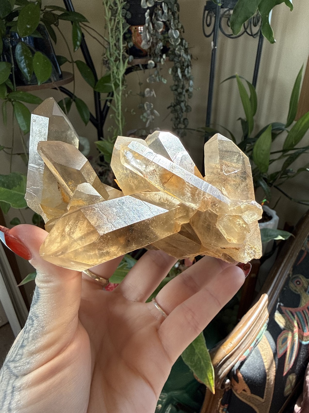 Golden Himalayan Quartz Crystal Cluster – Pakistan – 0.822 lbs