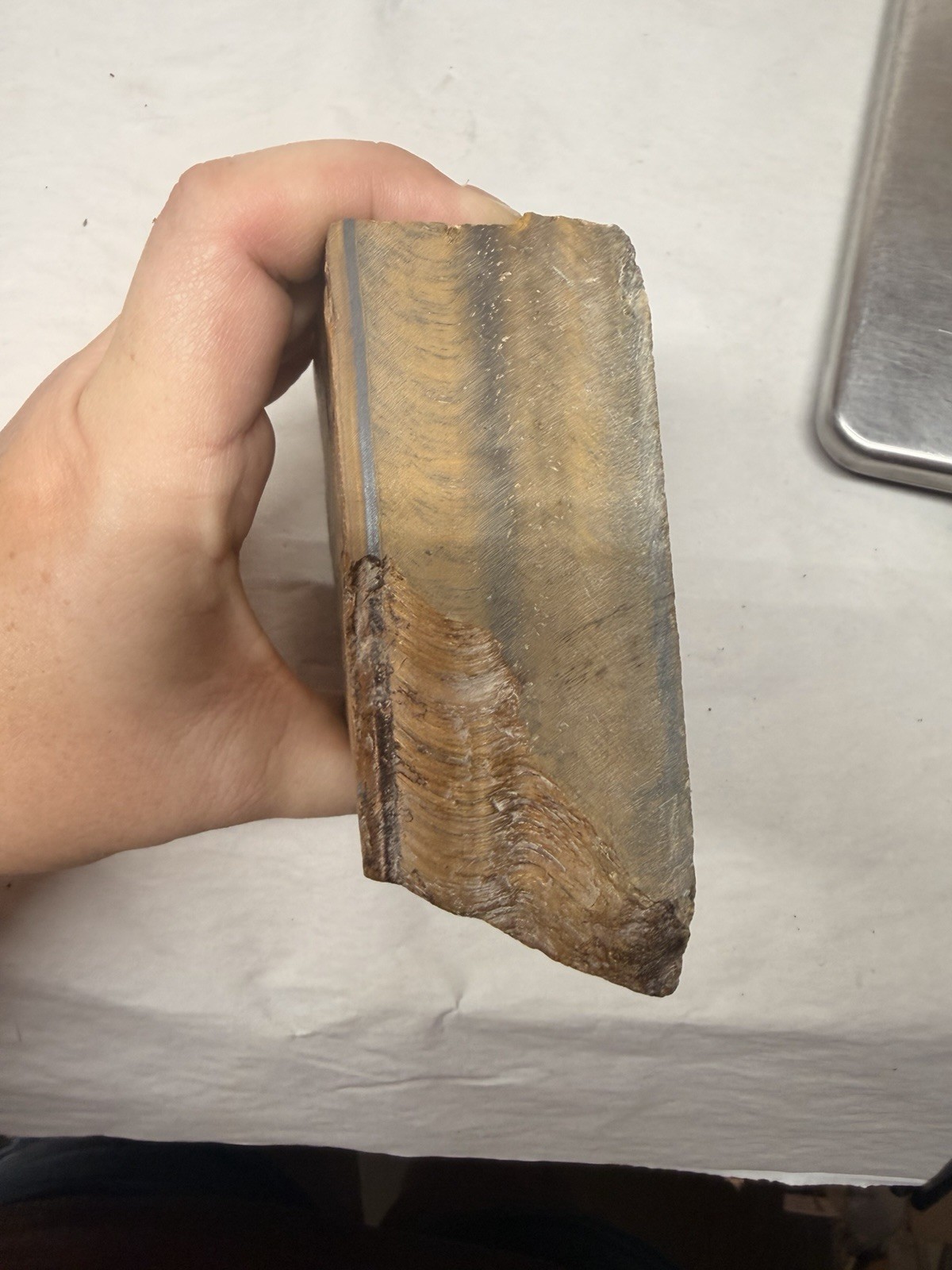 Natural Double Sided Flash Tiger’s Eye Stone Rock Specimen Rough 2.7 POUNDS